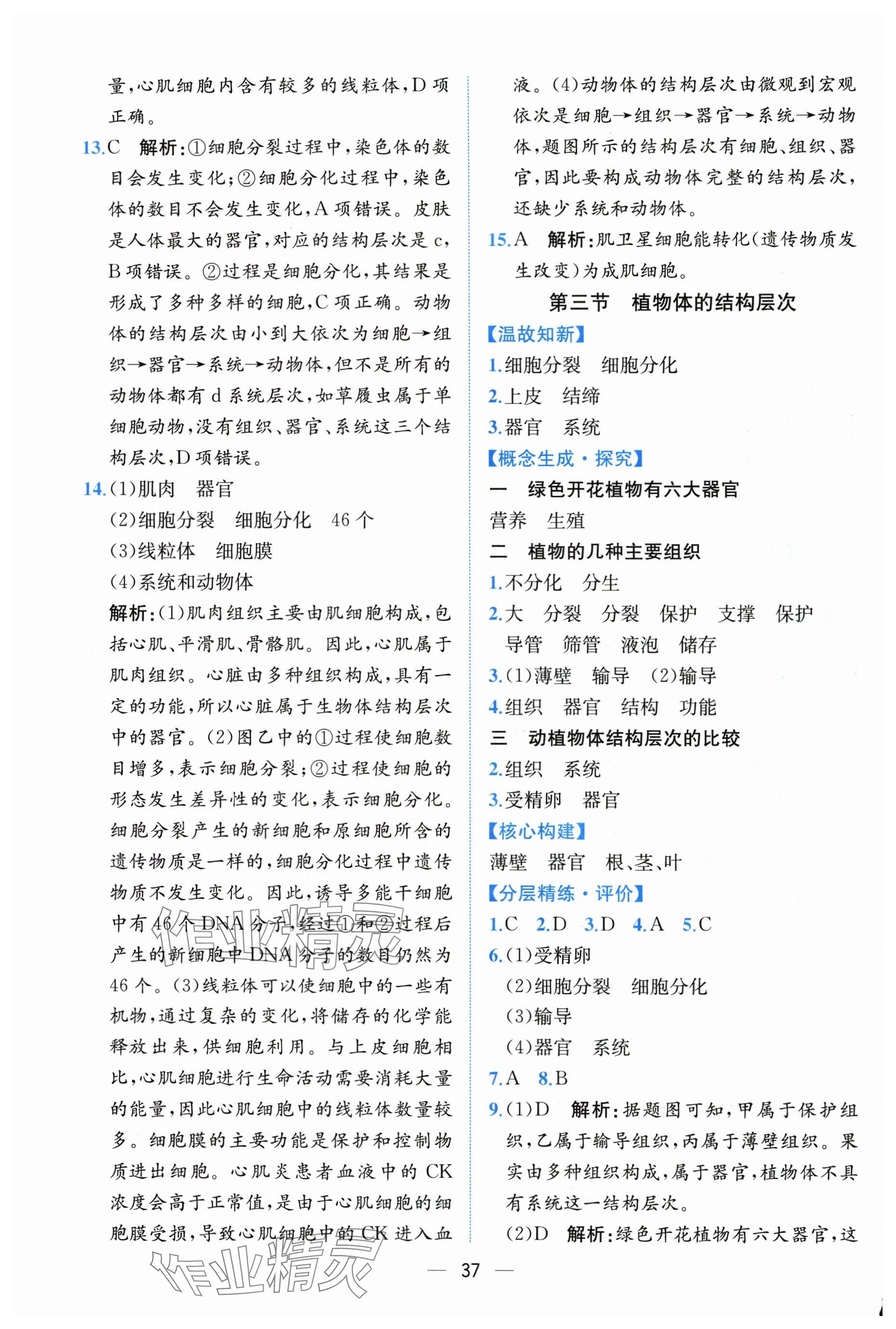 2025年课时练人民教育出版社七年级生物上册人教版 第9页