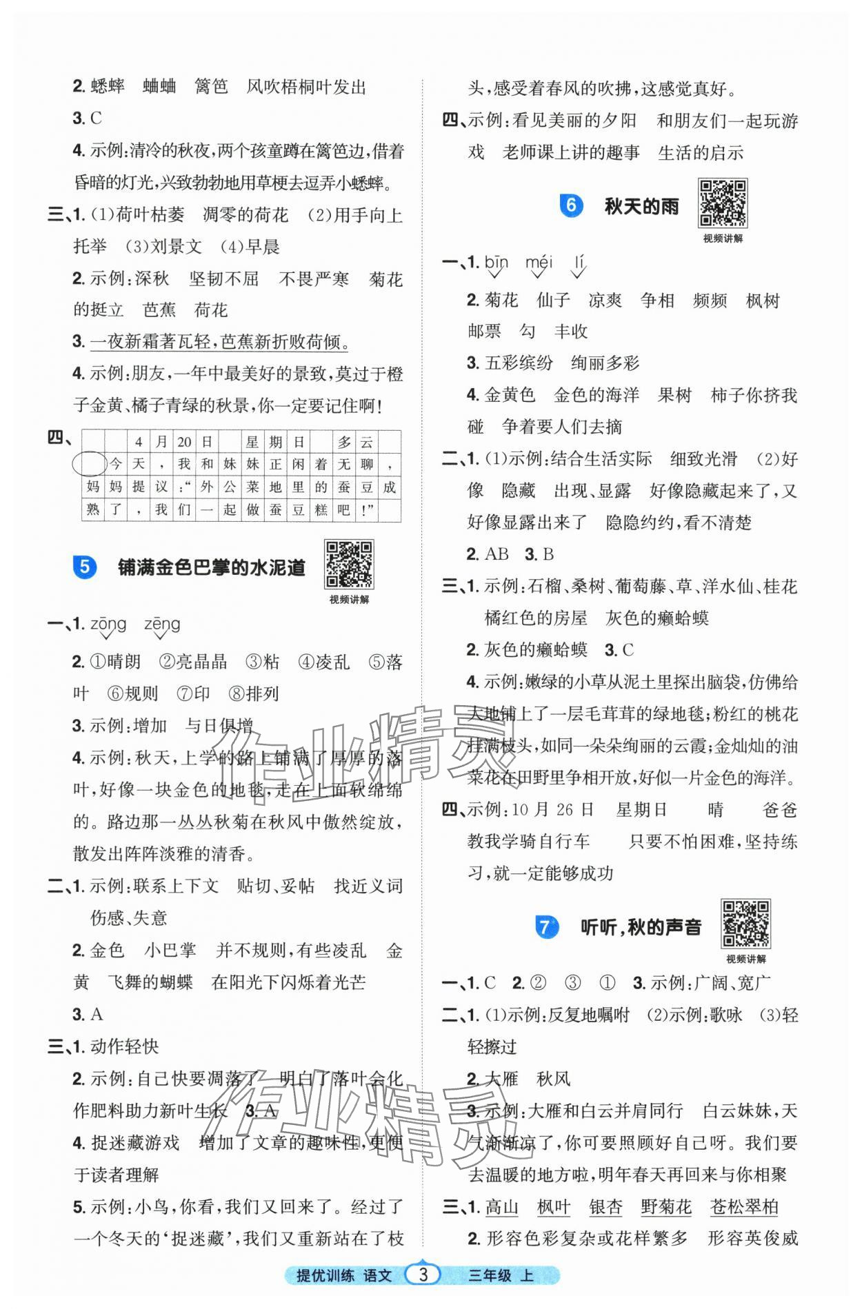 2025年阳光同学课时提优训练三年级语文上册人教版&nbsp;第3页