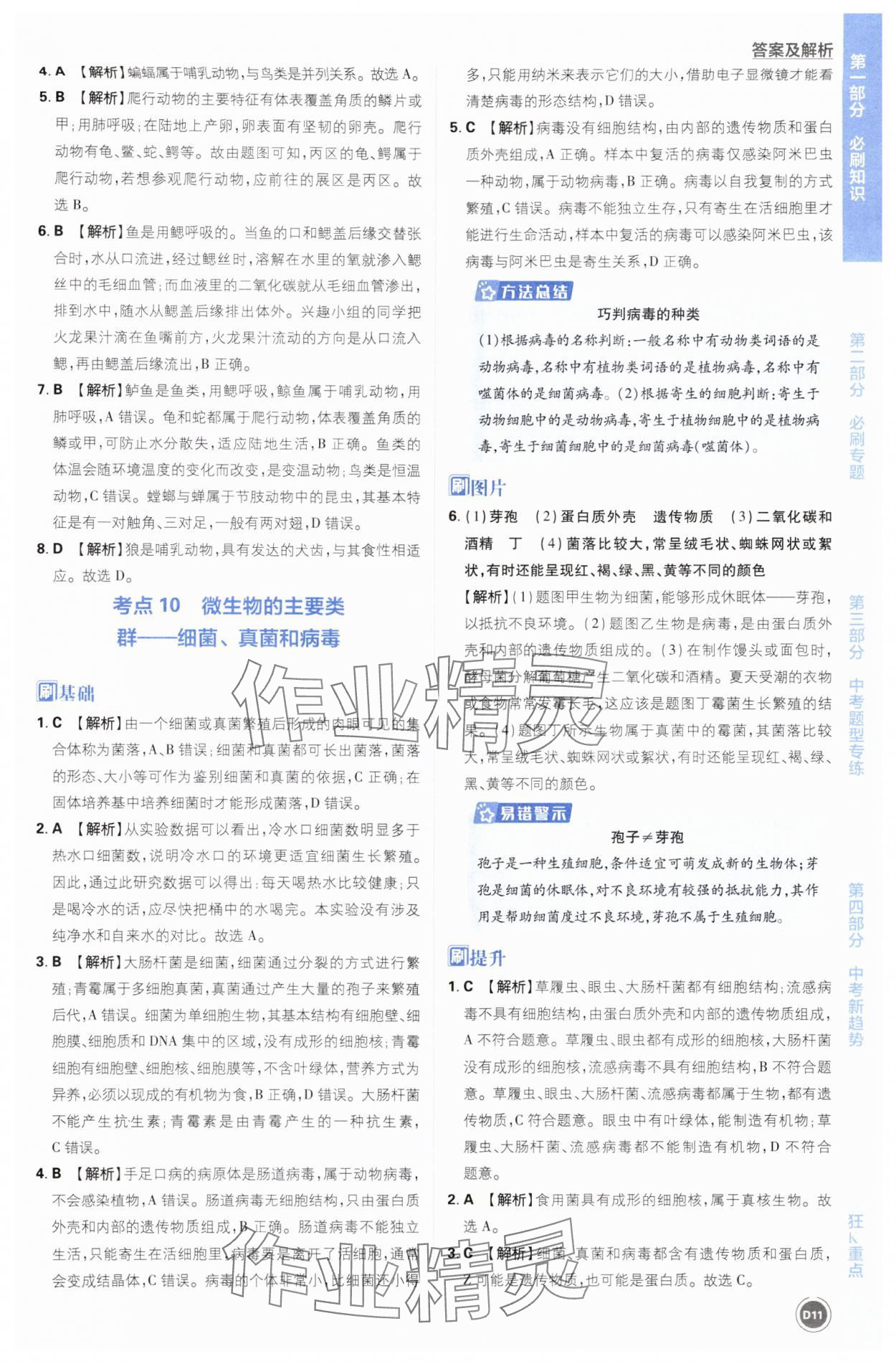 2025年中考必刷题开明出版社生物&nbsp;第11页
