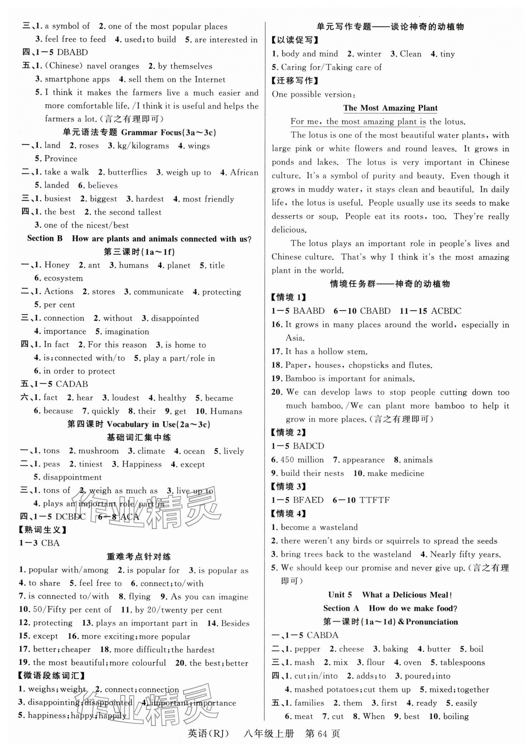 2025年课时夺冠八年级英语上册人教版湖北专版 第4页