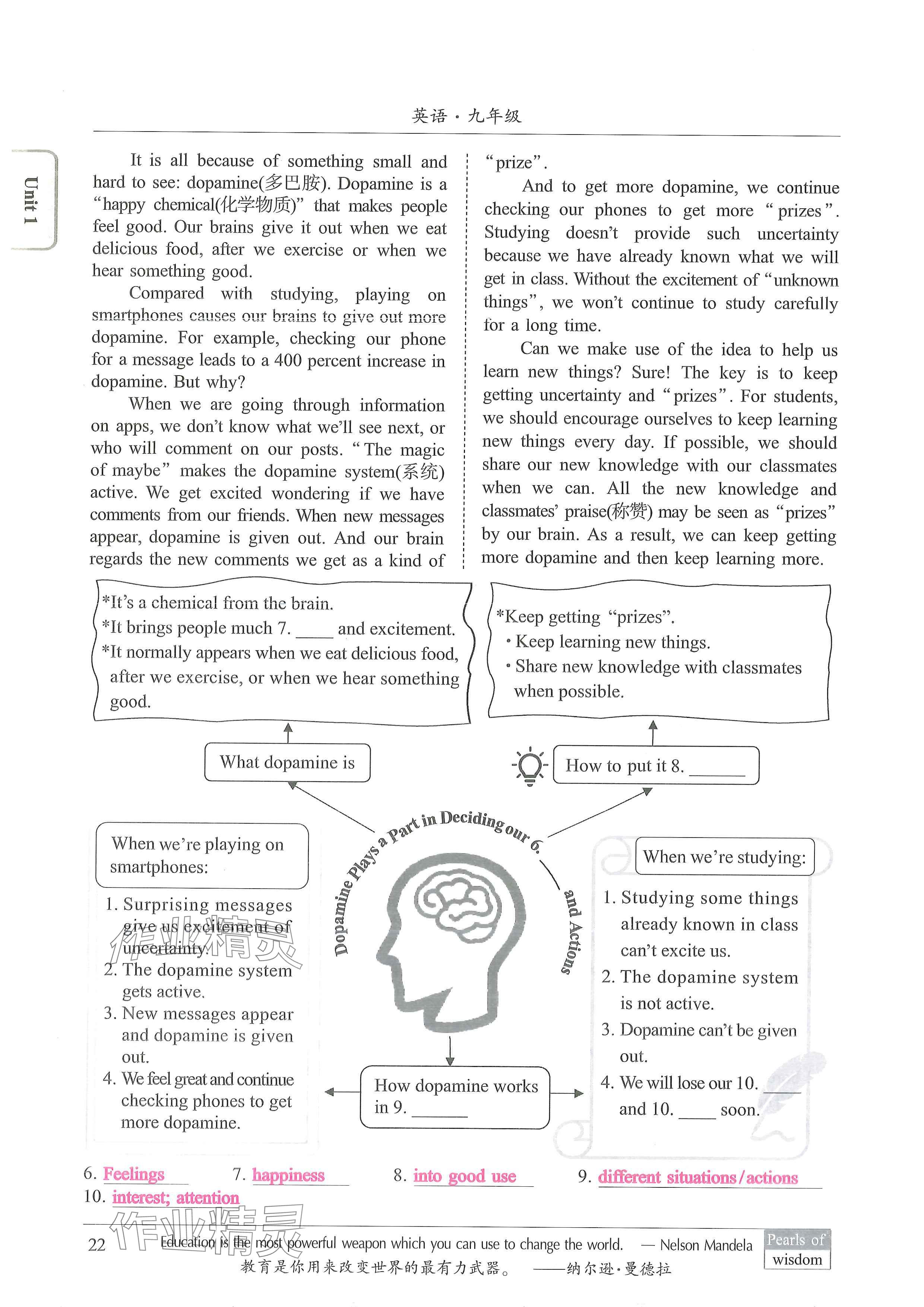 2024年新视界初中英语九年级英语上册人教版 参考答案第22页