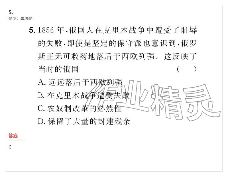 2026年優(yōu)質(zhì)課堂導(dǎo)學(xué)案九年級歷史下冊人教版&nbsp;參考答案第16頁