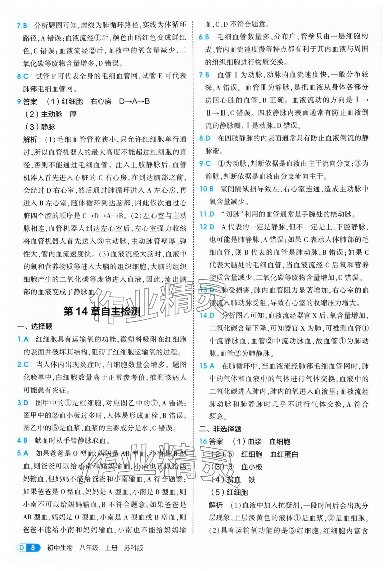2025年5年中考3年模拟八年级生物上册苏科版 参考答案第8页