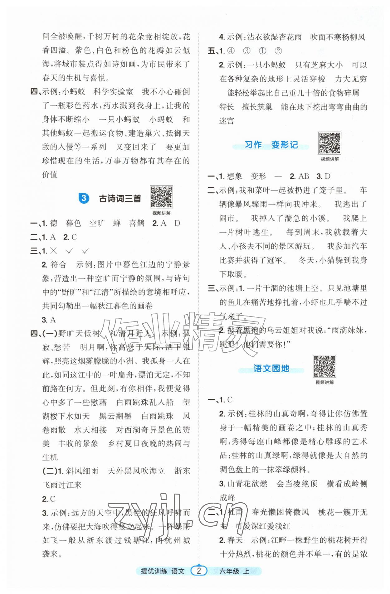 2026年阳光同学提优训练六年级语文上册人教版&nbsp;第2页