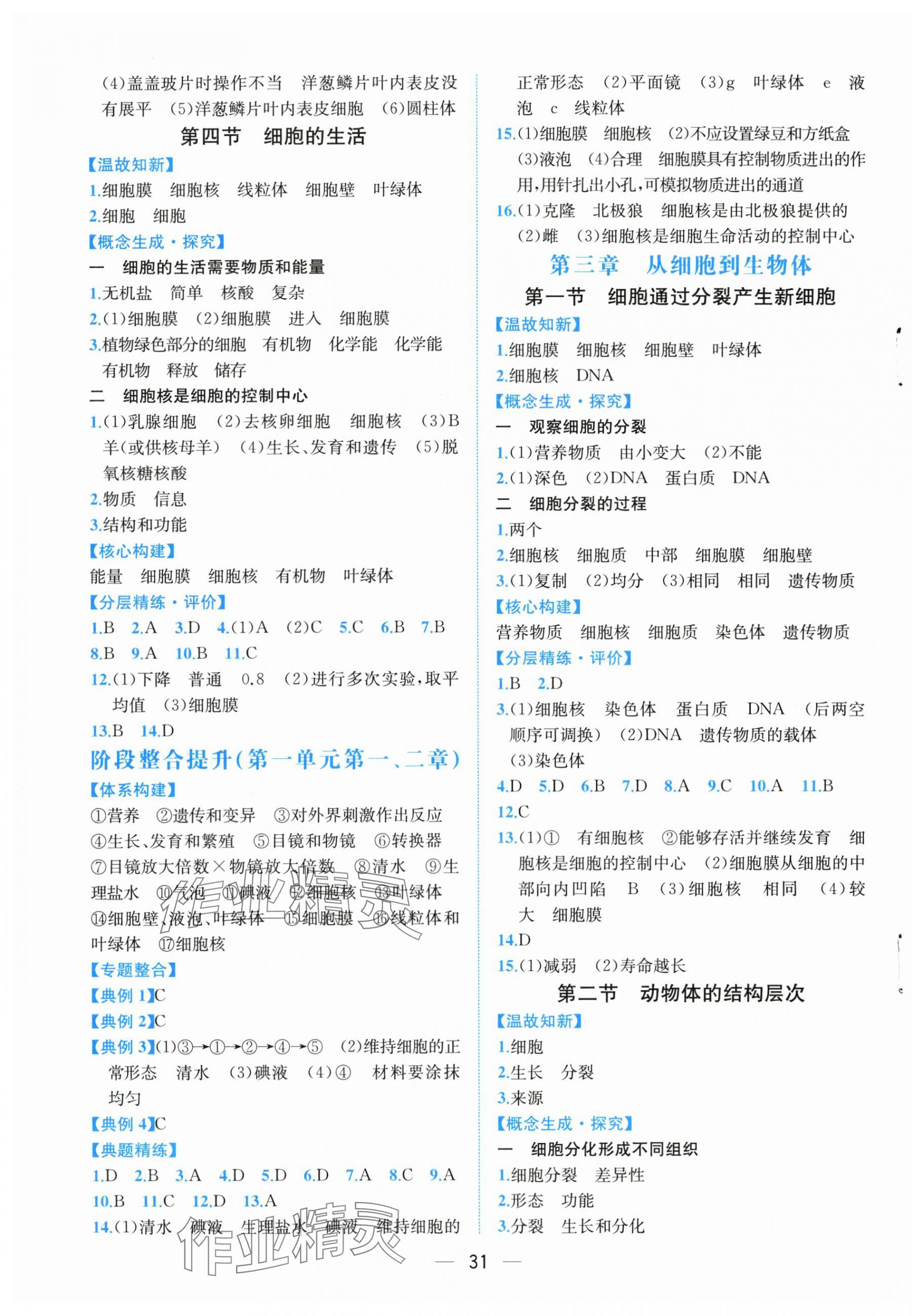 2024年課時(shí)練人民教育出版社七年級生物上冊人教版 第3頁