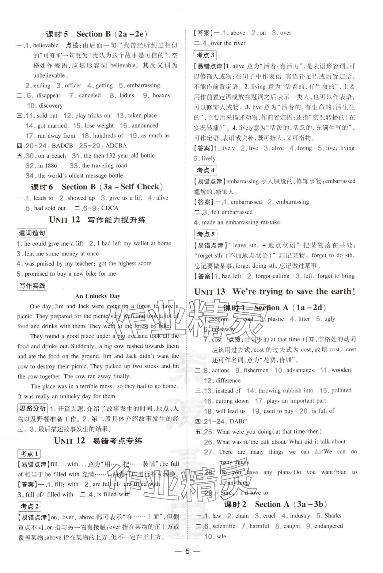 2025年點撥訓練九年級英語下冊人教版陜西專版 參考答案第5頁