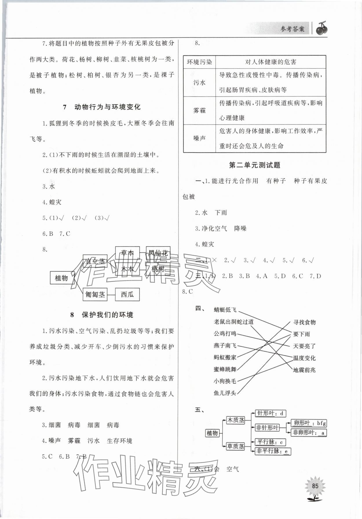 2024年同步練習山東文藝出版社六年級科學下冊青島版 第3頁