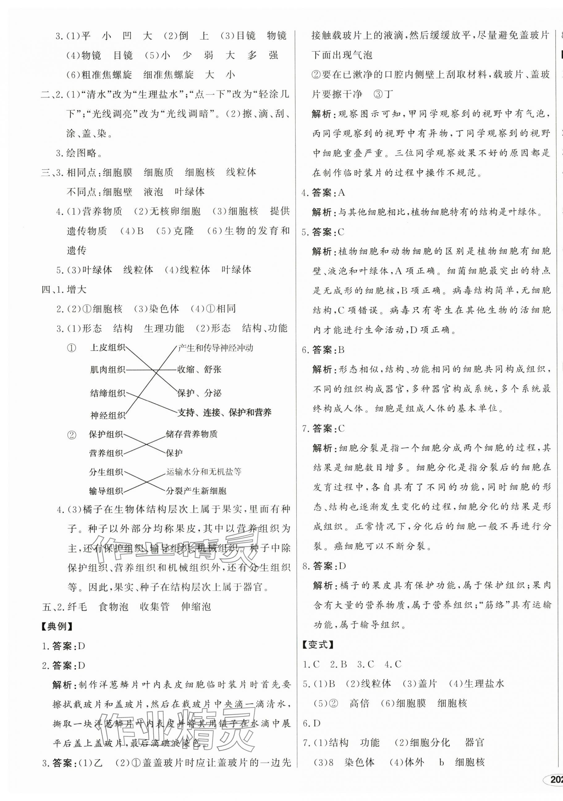 2024年中考檔案生物青島專版 第3頁