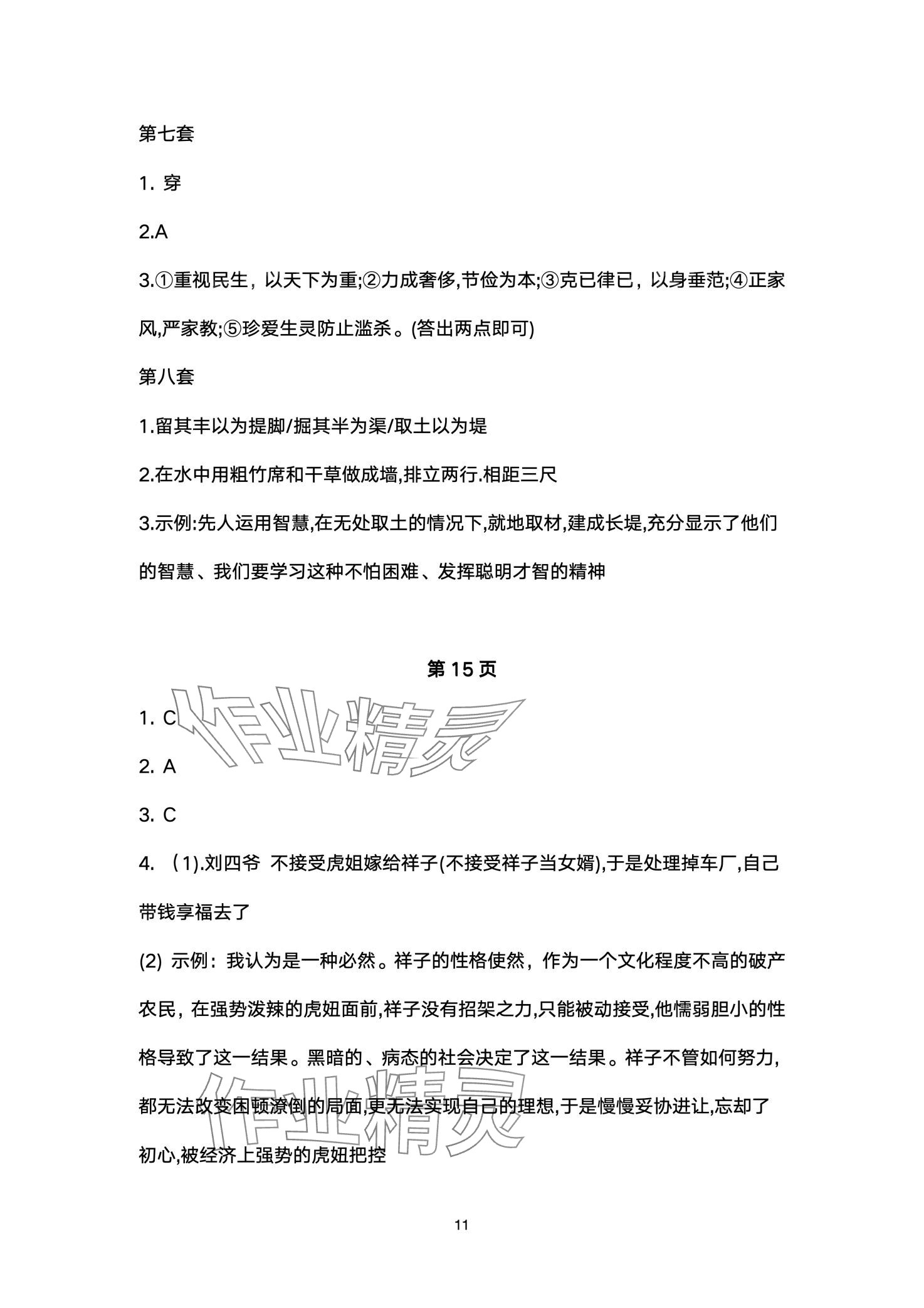 2024年中考階梯測(cè)評(píng)語(yǔ)文人教版 第11頁(yè)