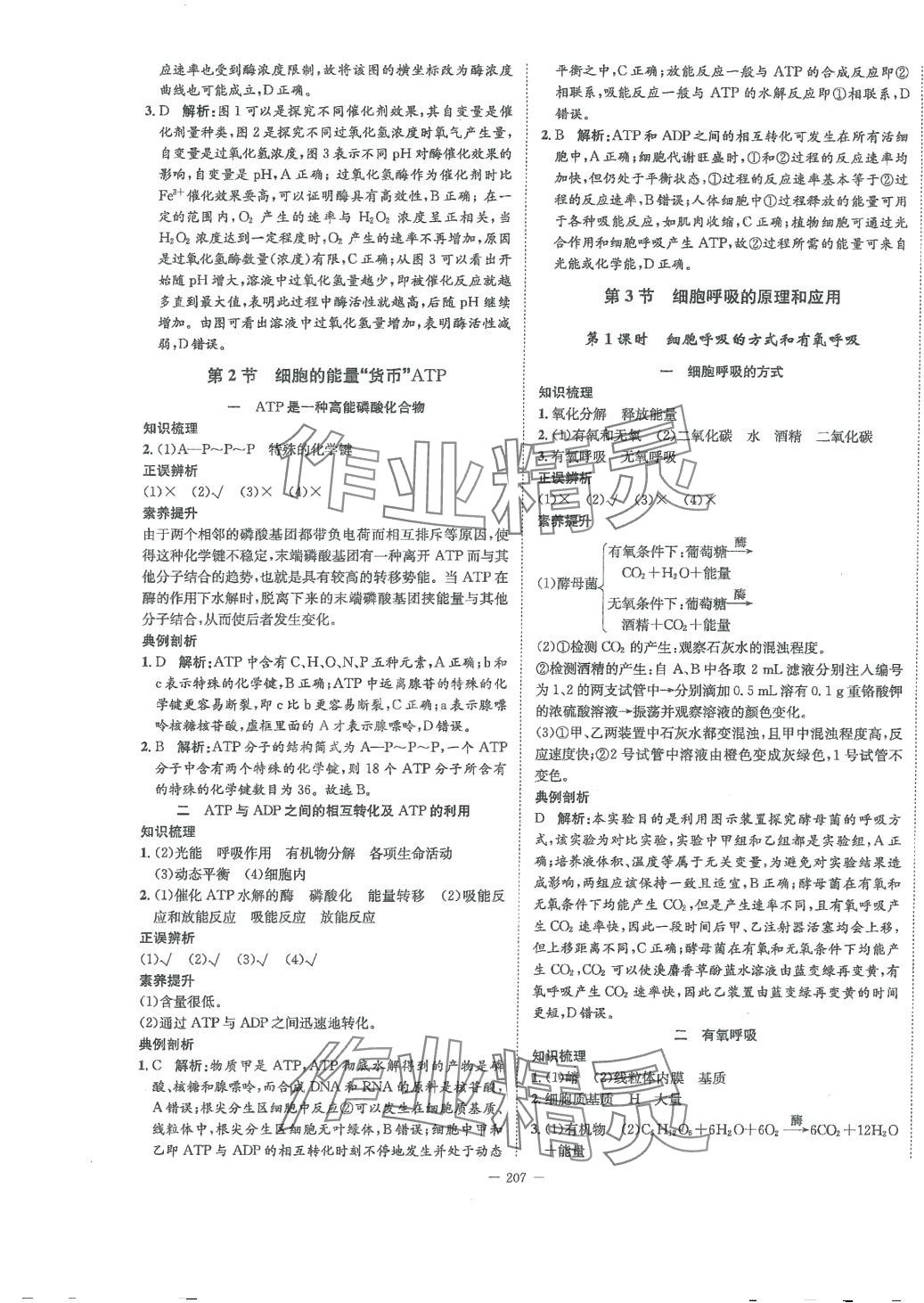 2024年石室金匱高中生物必修1人教版 第11頁(yè)