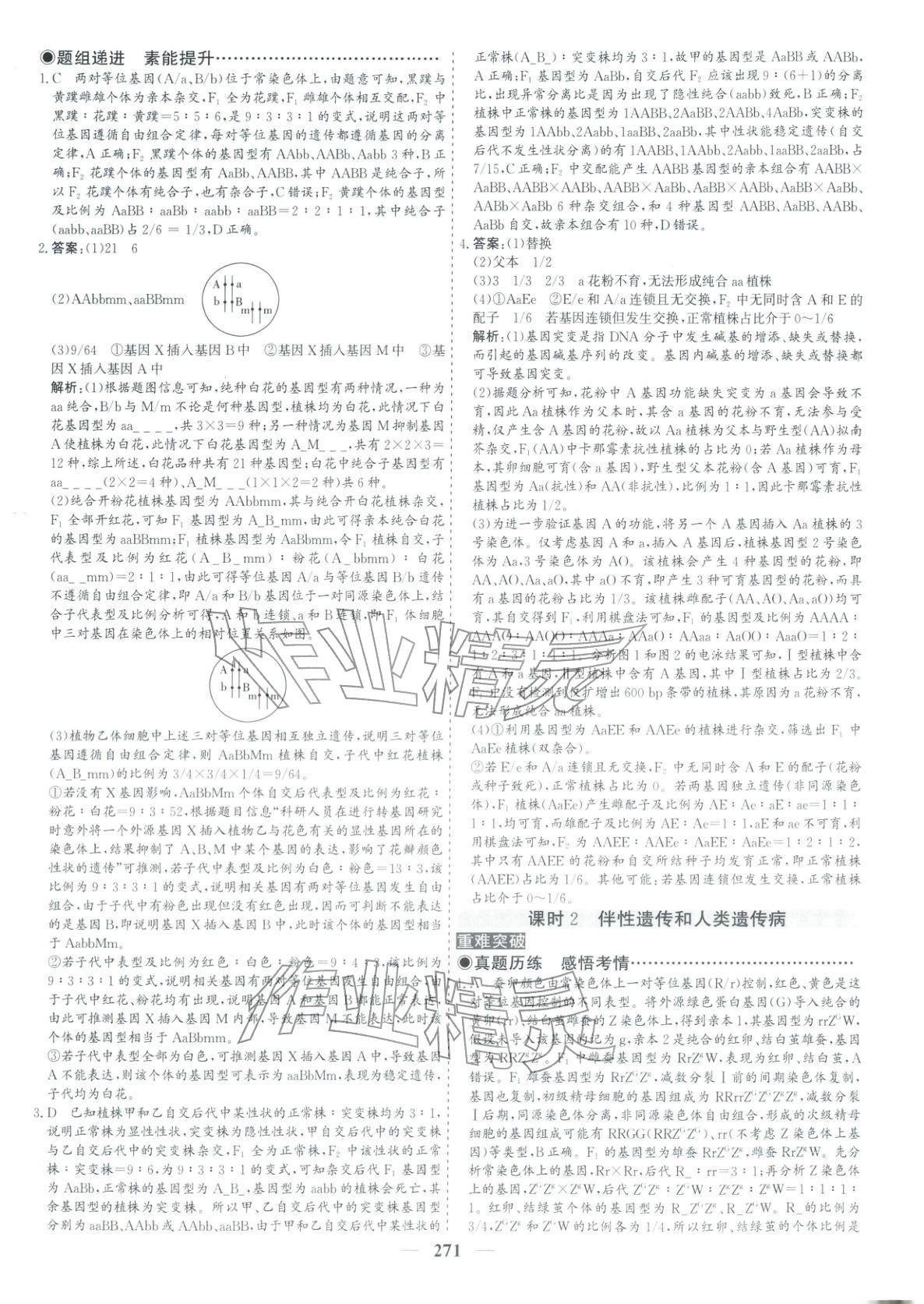 2026年优化探究高考专题复习生物&nbsp;参考答案第13页