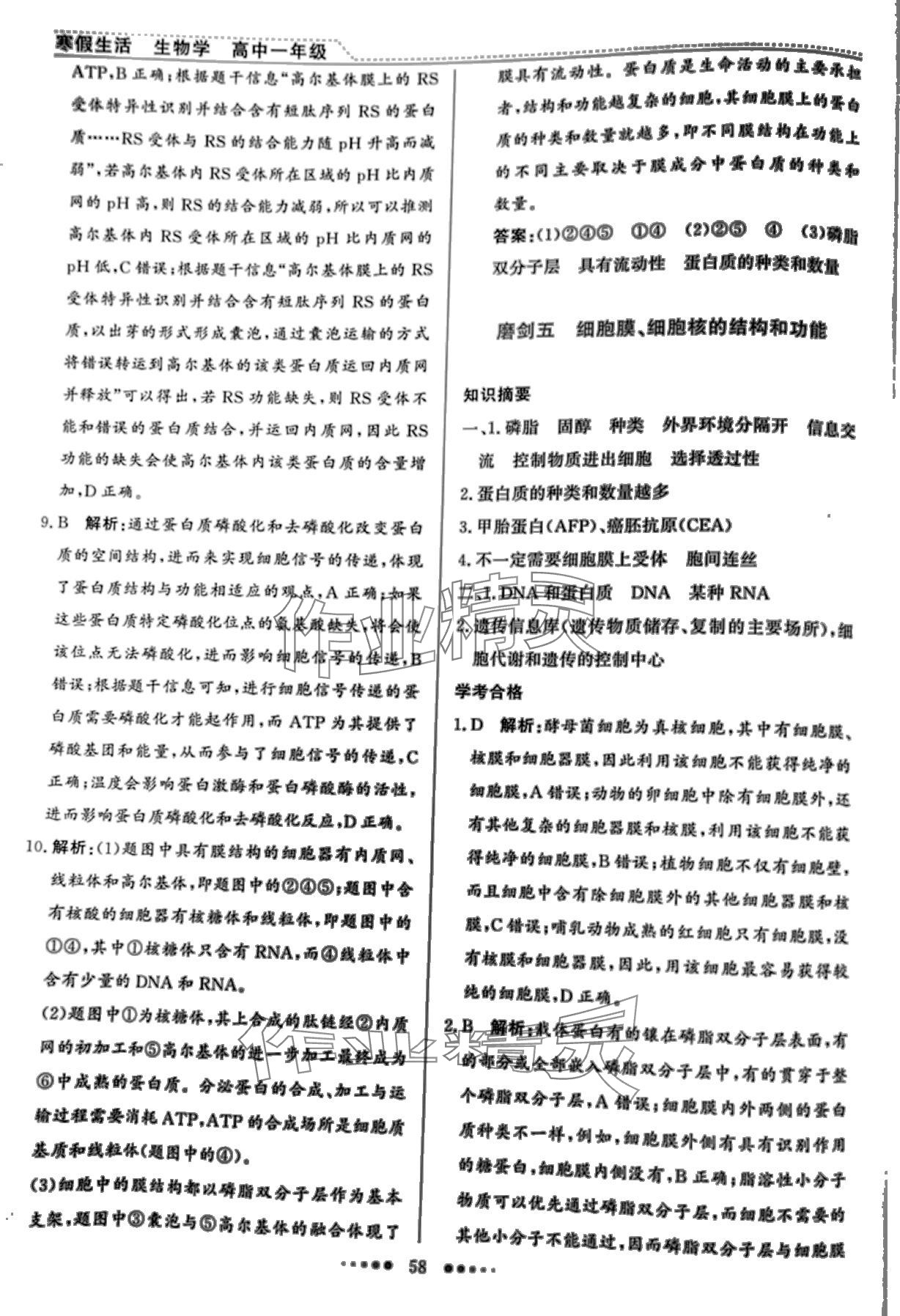 2024年寒假生活北京师范大学出版社高一生物 第7页