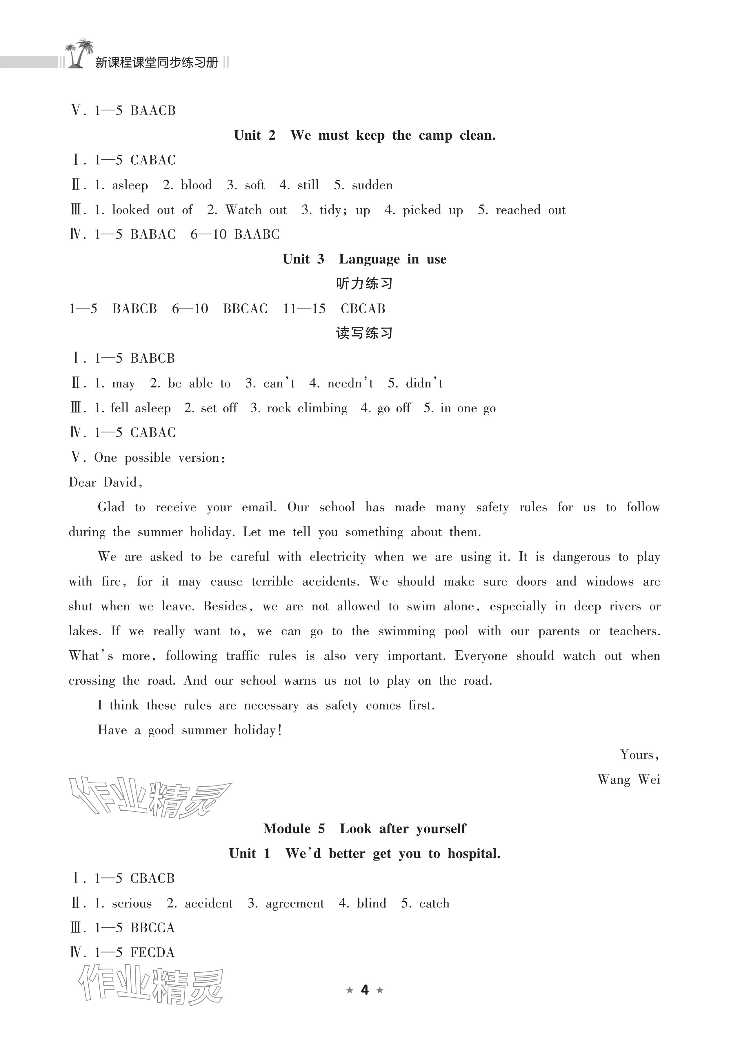 2025年新課程課堂同步練習(xí)冊九年級英語下冊外研版 參考答案第4頁