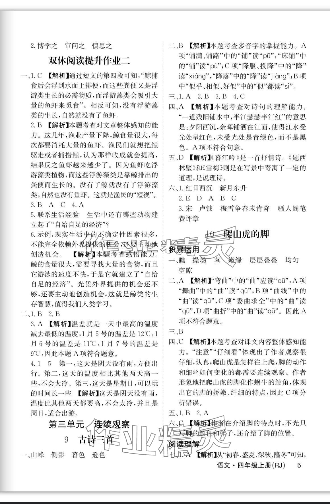 2023年課堂點(diǎn)睛四年級語文上冊人教版福建專版 參考答案第5頁