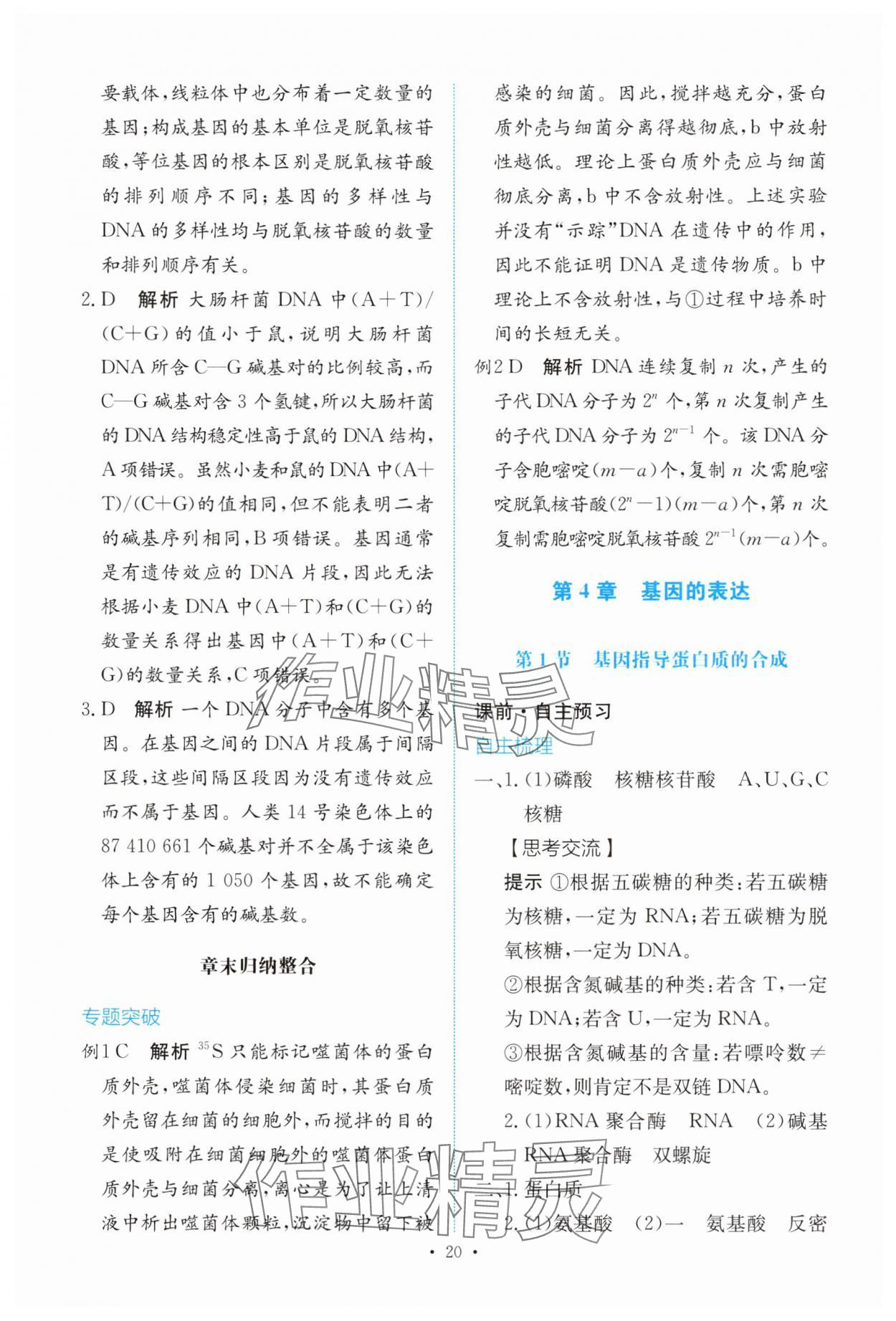 2025年能力培养与测试高中生物必修2人教版 参考答案第19页