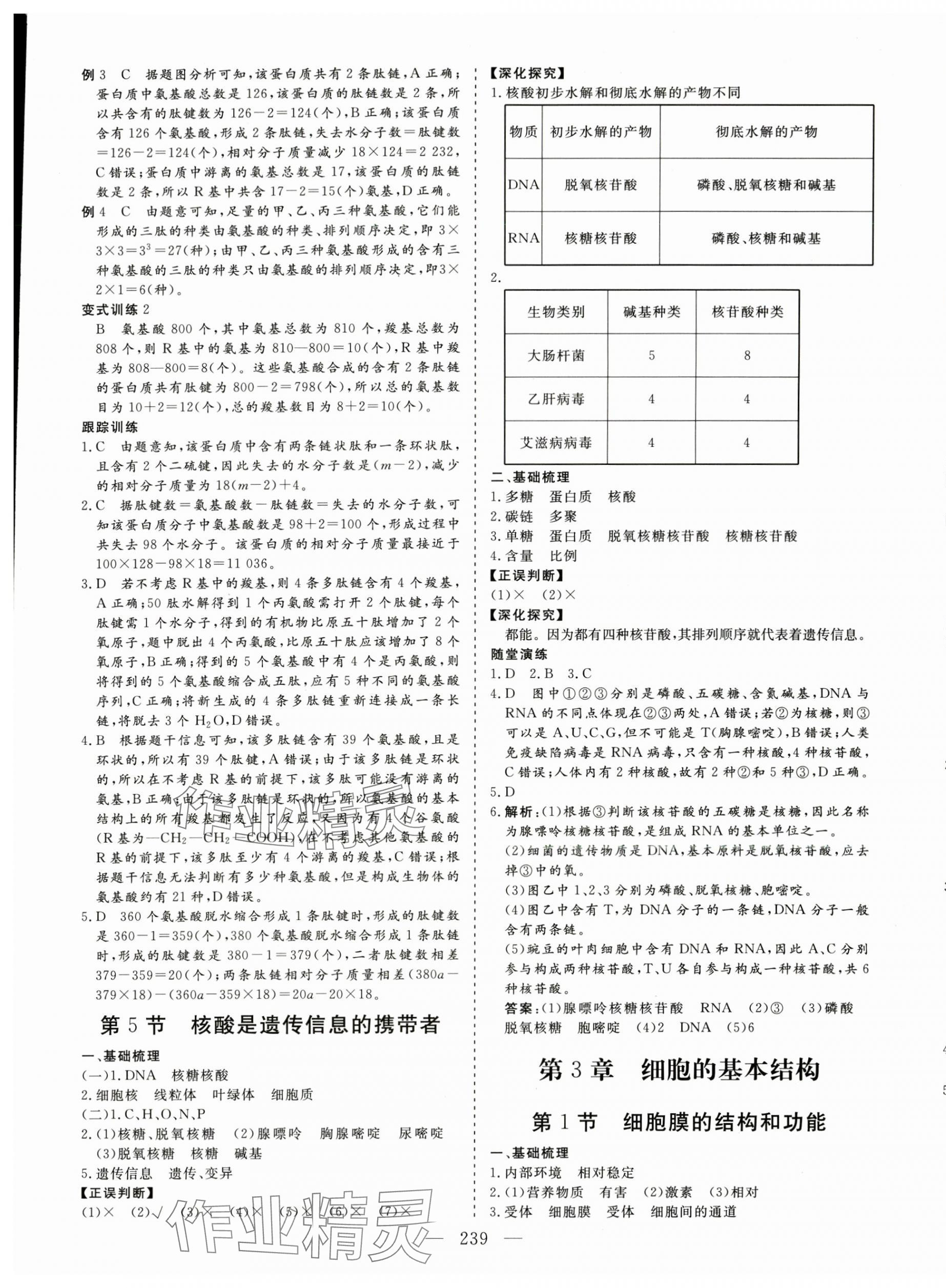 2025年金榜題名高中生物必修1人教版 第5頁