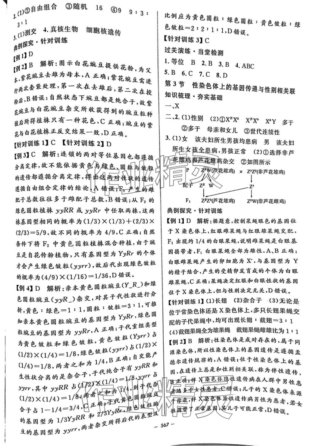 2024年鐘書(shū)金牌金典導(dǎo)學(xué)案高三生物滬教版上海專(zhuān)版 第13頁(yè)