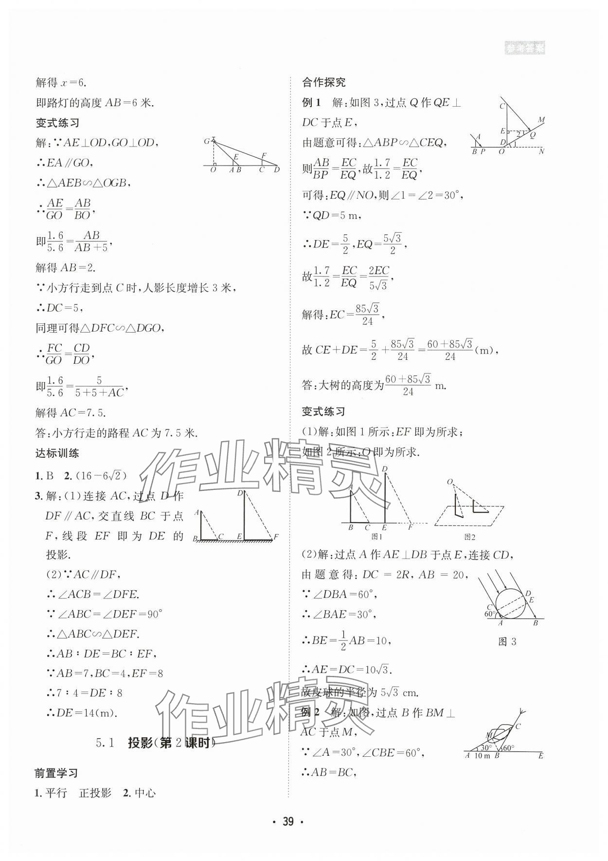 2023年數(shù)學(xué)愛好者同步訓(xùn)練九年級(jí)全一冊北師大版 參考答案第39頁