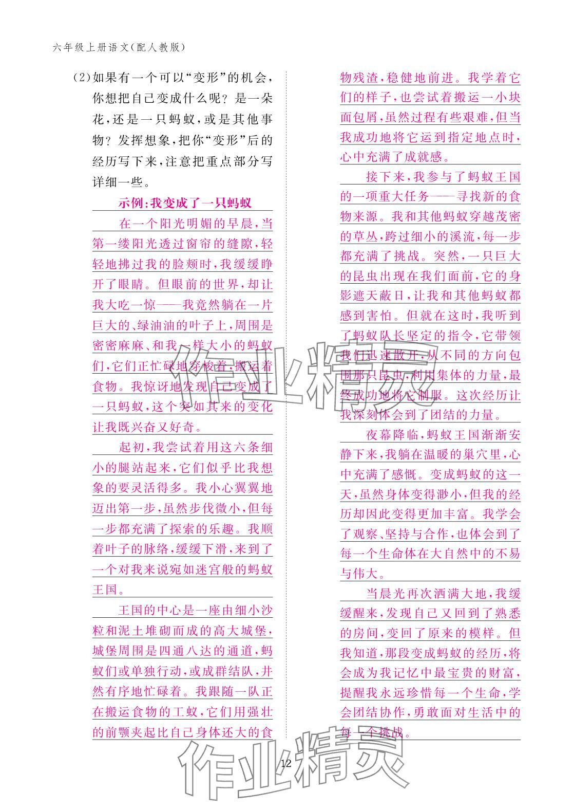 2025年作业本江西教育出版社六年级语文上册人教版 参考答案第12页