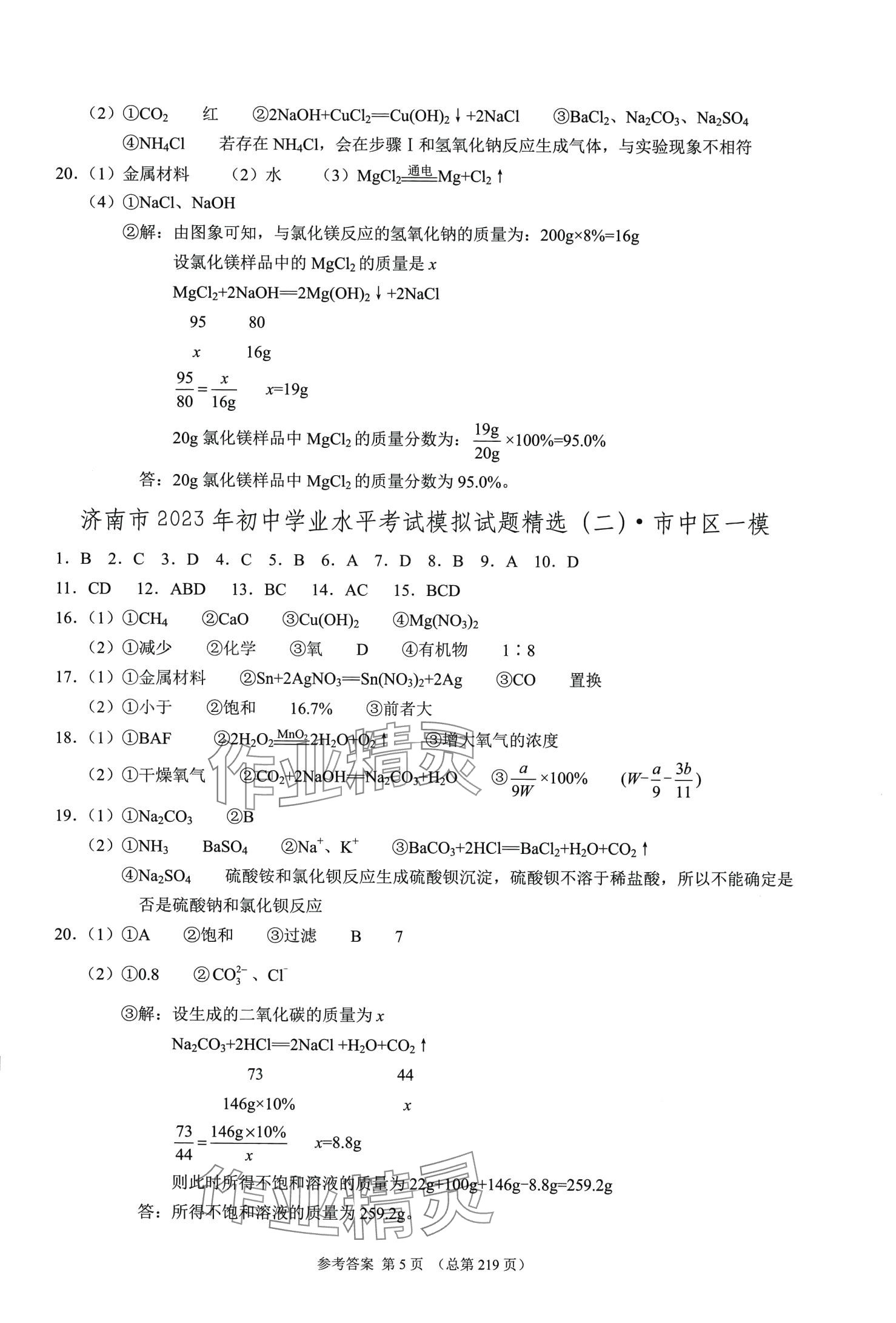 2024年中考超级模拟中考211化学济南专版&nbsp;第5页