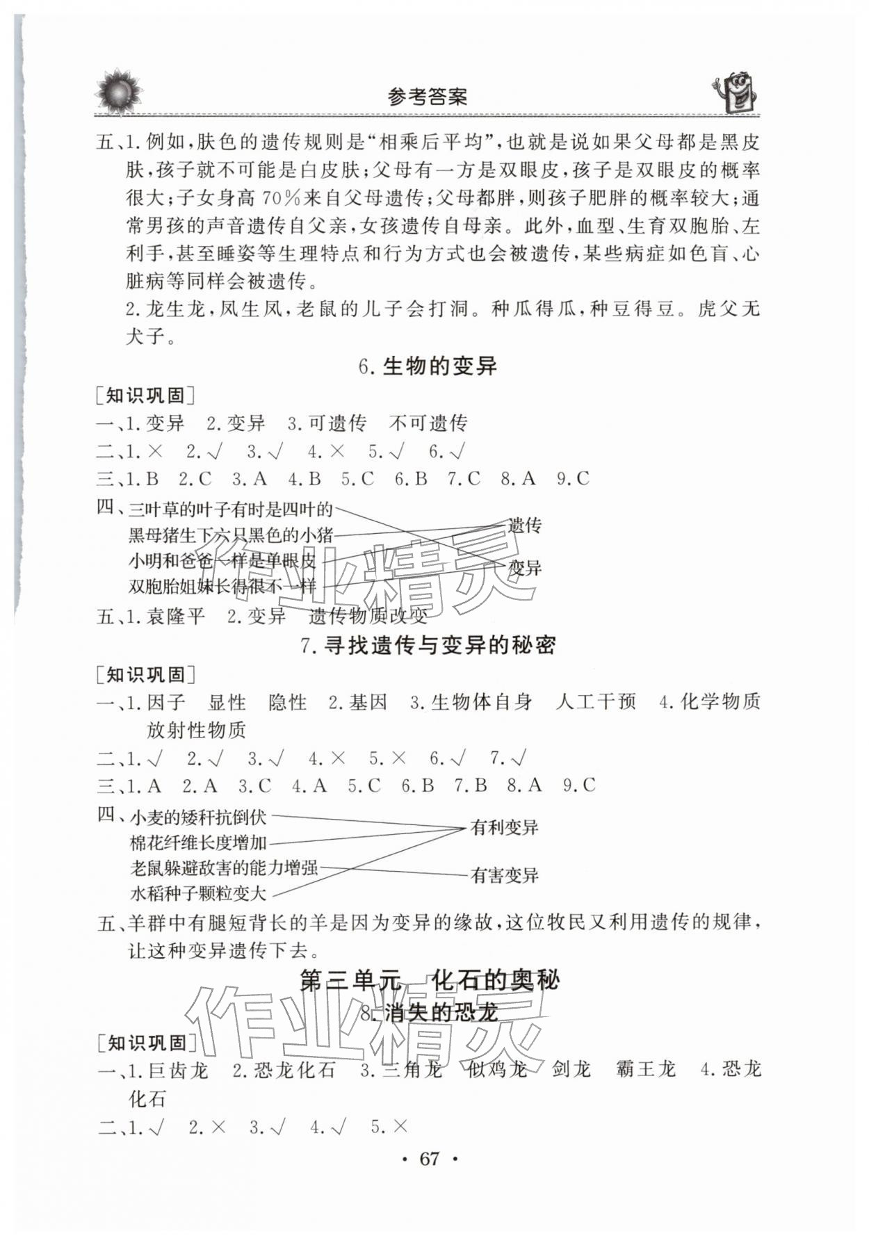 2025年名师导学伴你行同步练习六年级科学上册苏教版 第3页