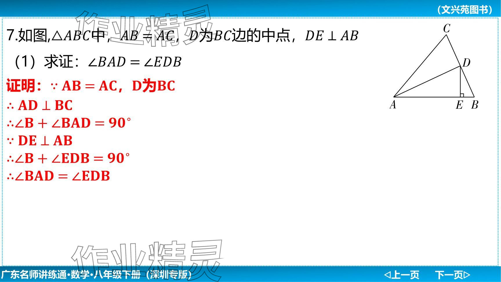 2024年廣東名師講練通八年級數(shù)學(xué)下冊北師大版深圳專版提升版 參考答案第19頁