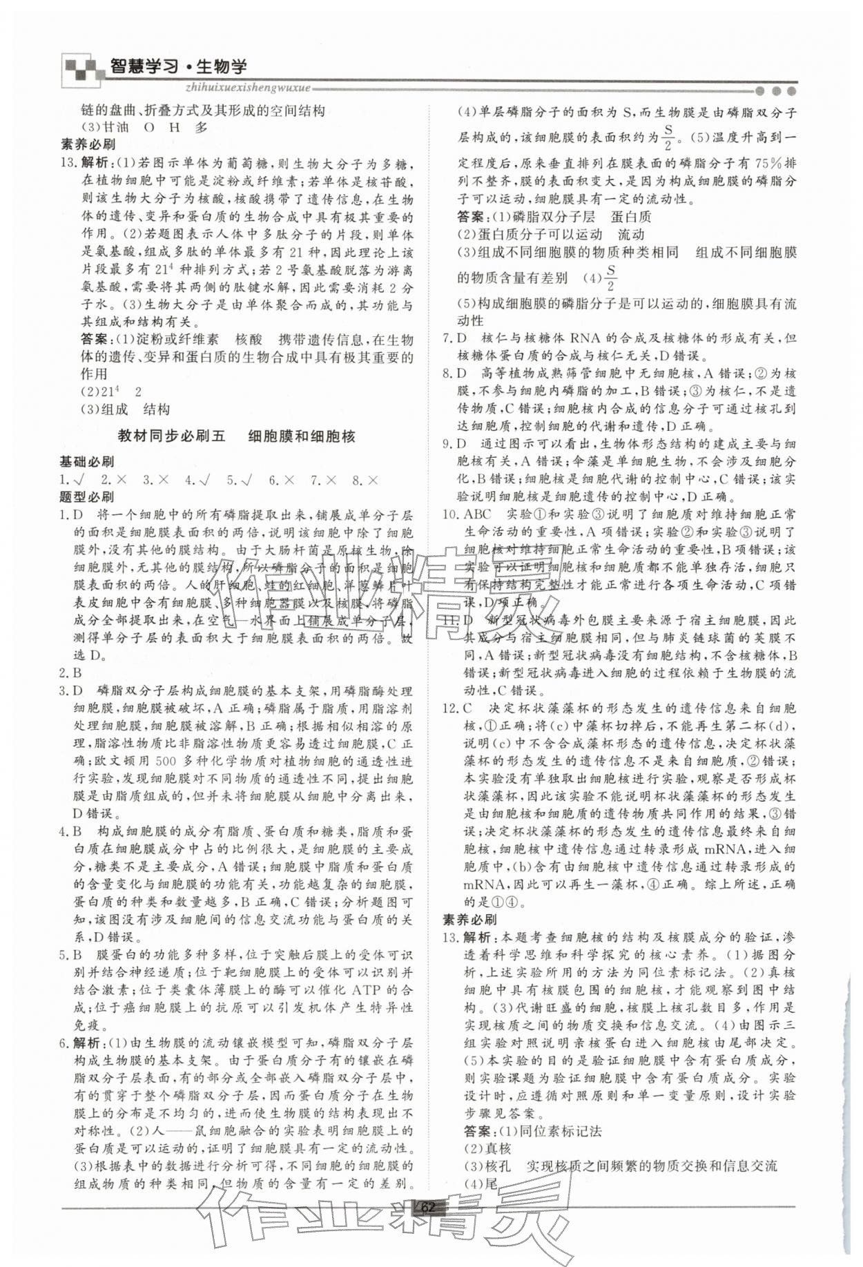 2026年智慧學(xué)習(xí)新疆文化出版社高一生物&nbsp;第4頁(yè)