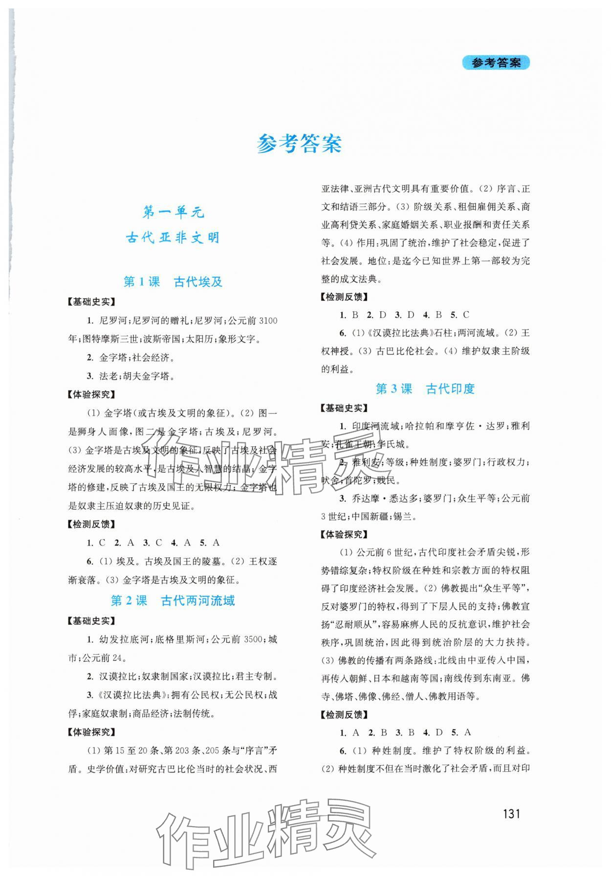 2025年新课程实践与探究丛书九年级历史上册人教版河南专版 第1页