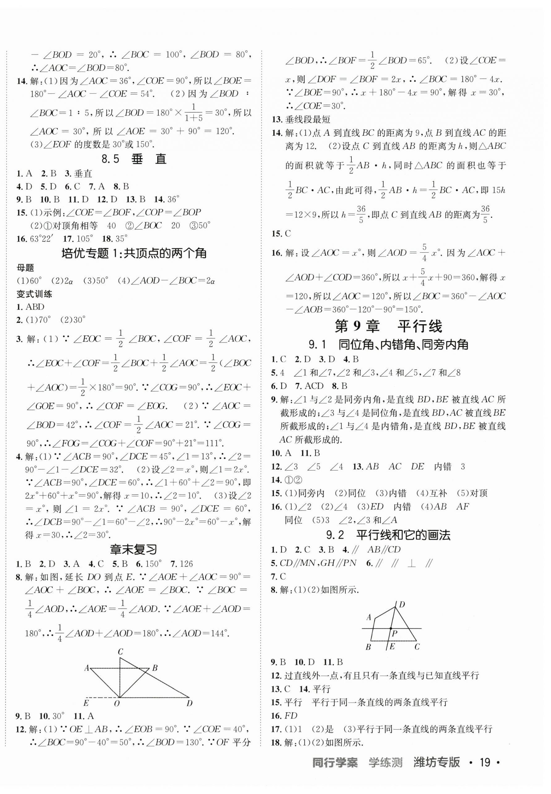 2024年同行学案学练测七年级数学下册青岛版 第2页