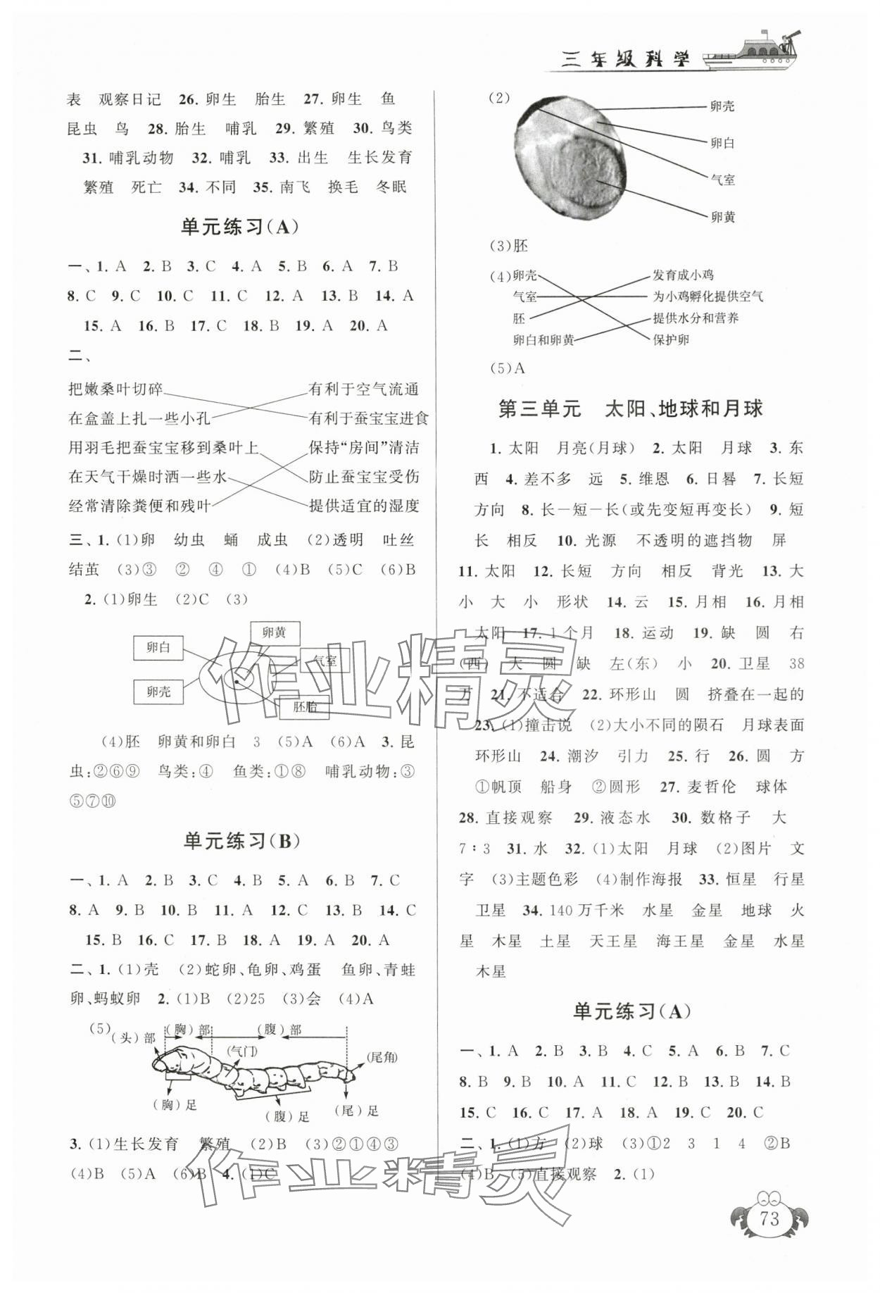 2025年暑假大串联三年级科学教科版 参考答案第2页