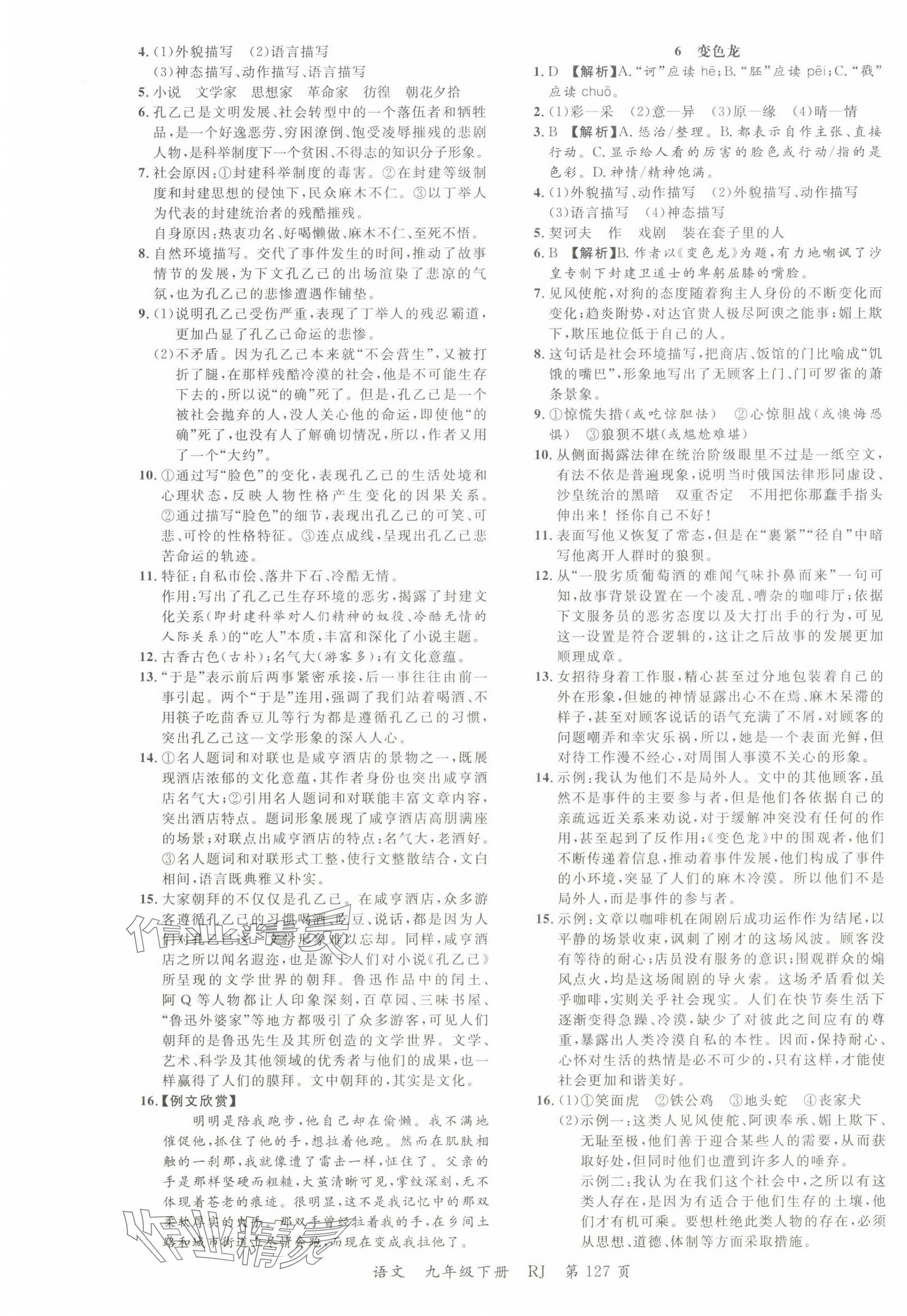 2025年一線調(diào)研學(xué)業(yè)測評(píng)九年級(jí)語文下冊(cè)人教版 第3頁