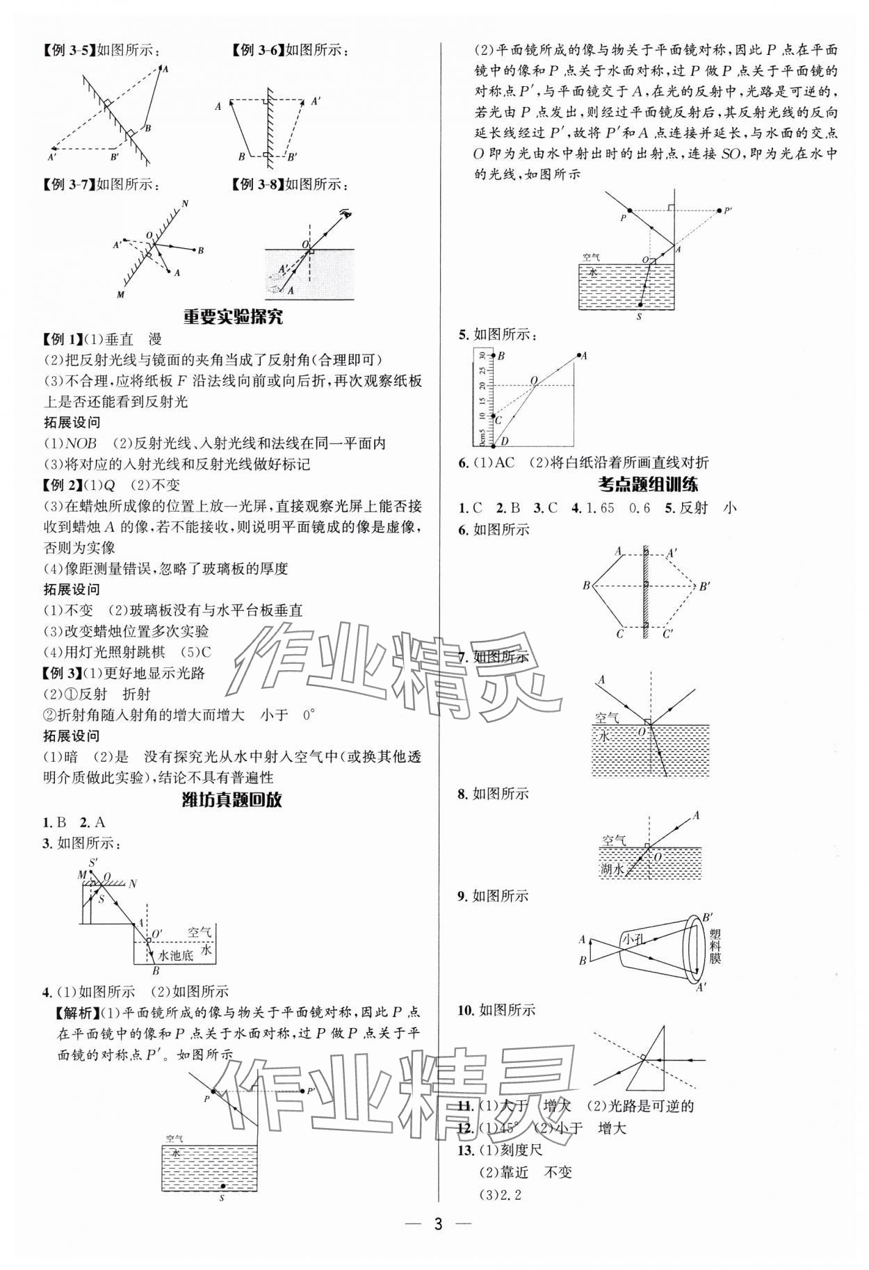 2025年中考對策物理濰坊專版 參考答案第3頁