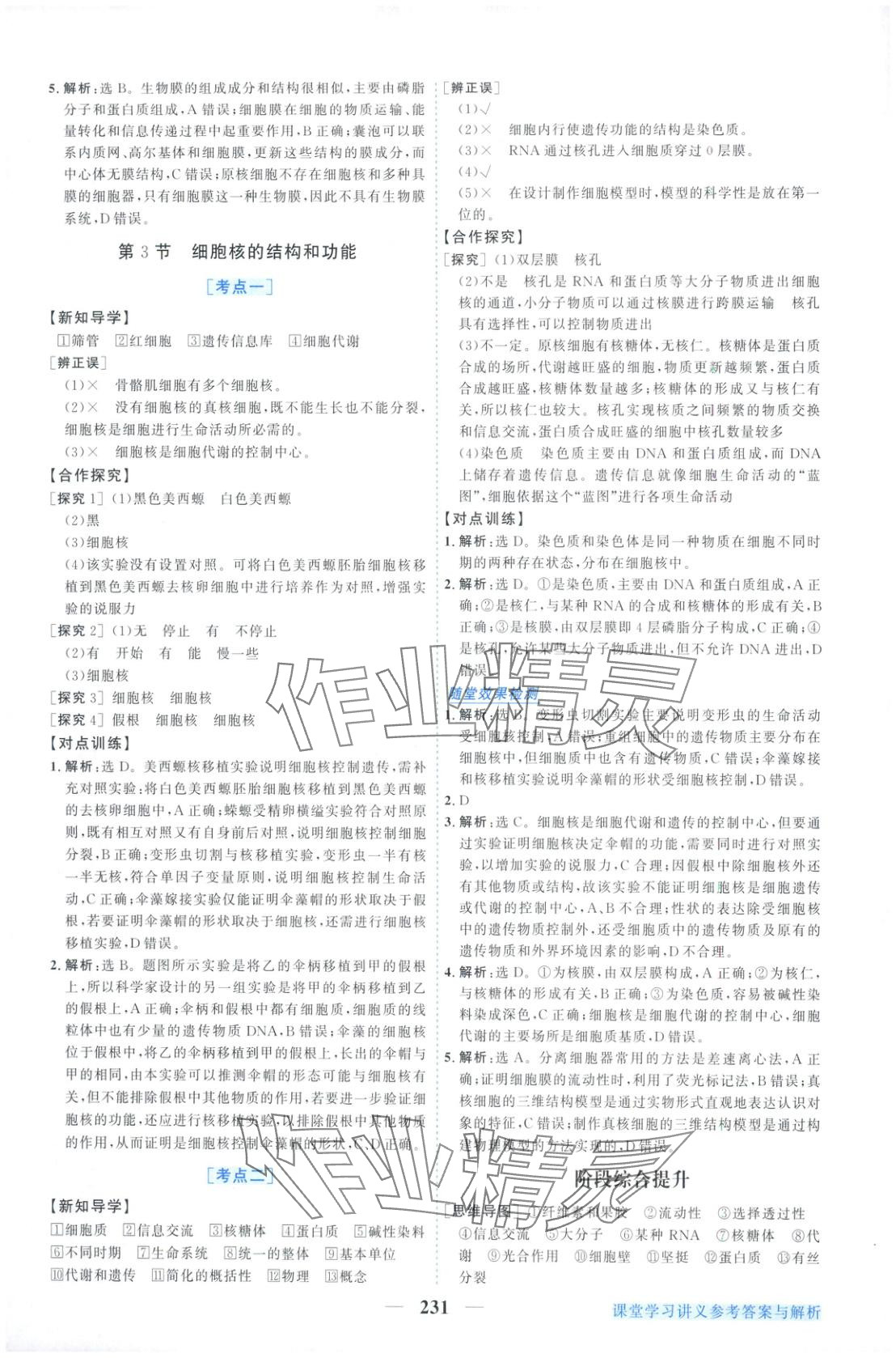 2025年新坐標同步練習高中生物必修第一冊人教版&nbsp;第11頁