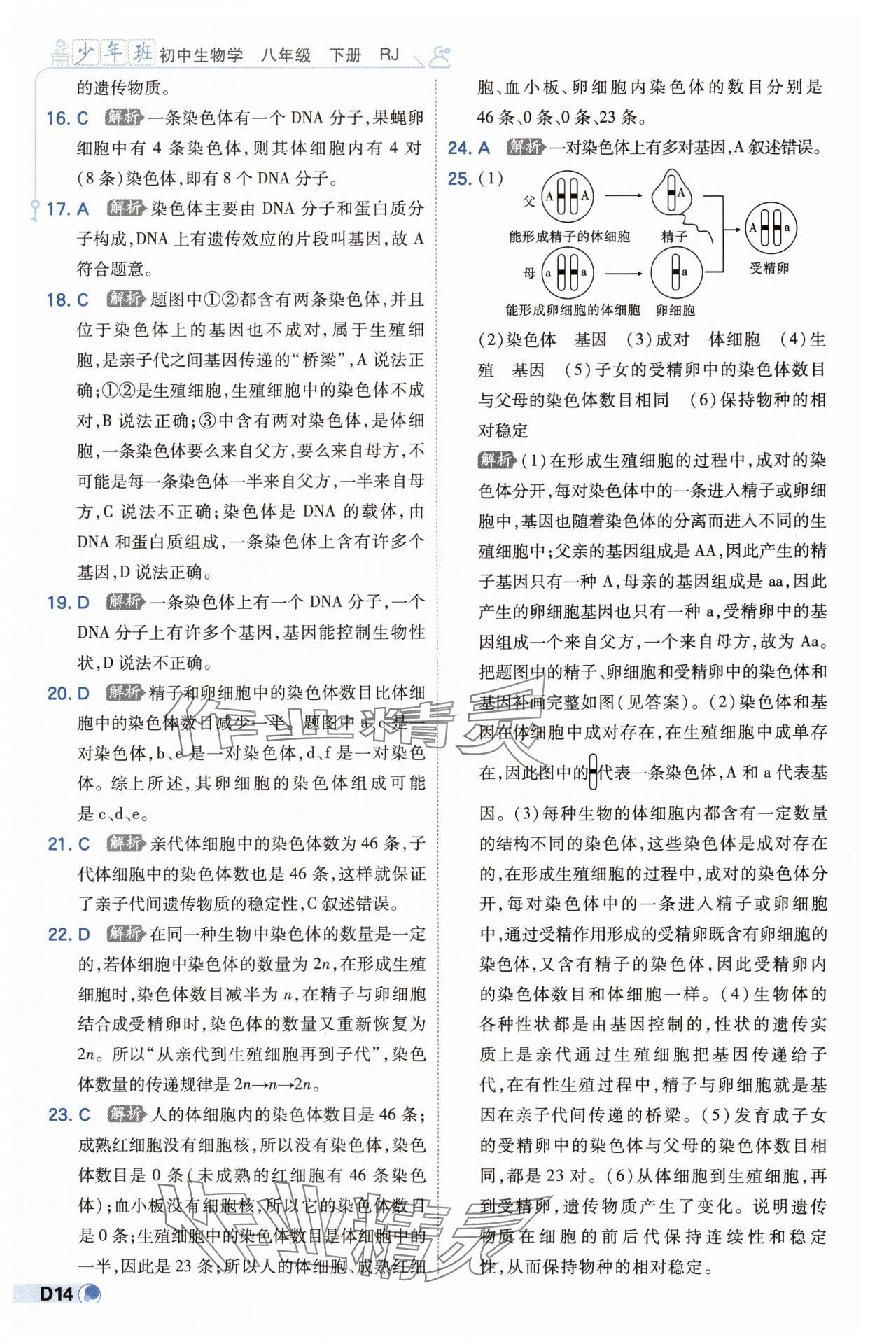 2025年少年班八年級生物下冊人教版 第14頁