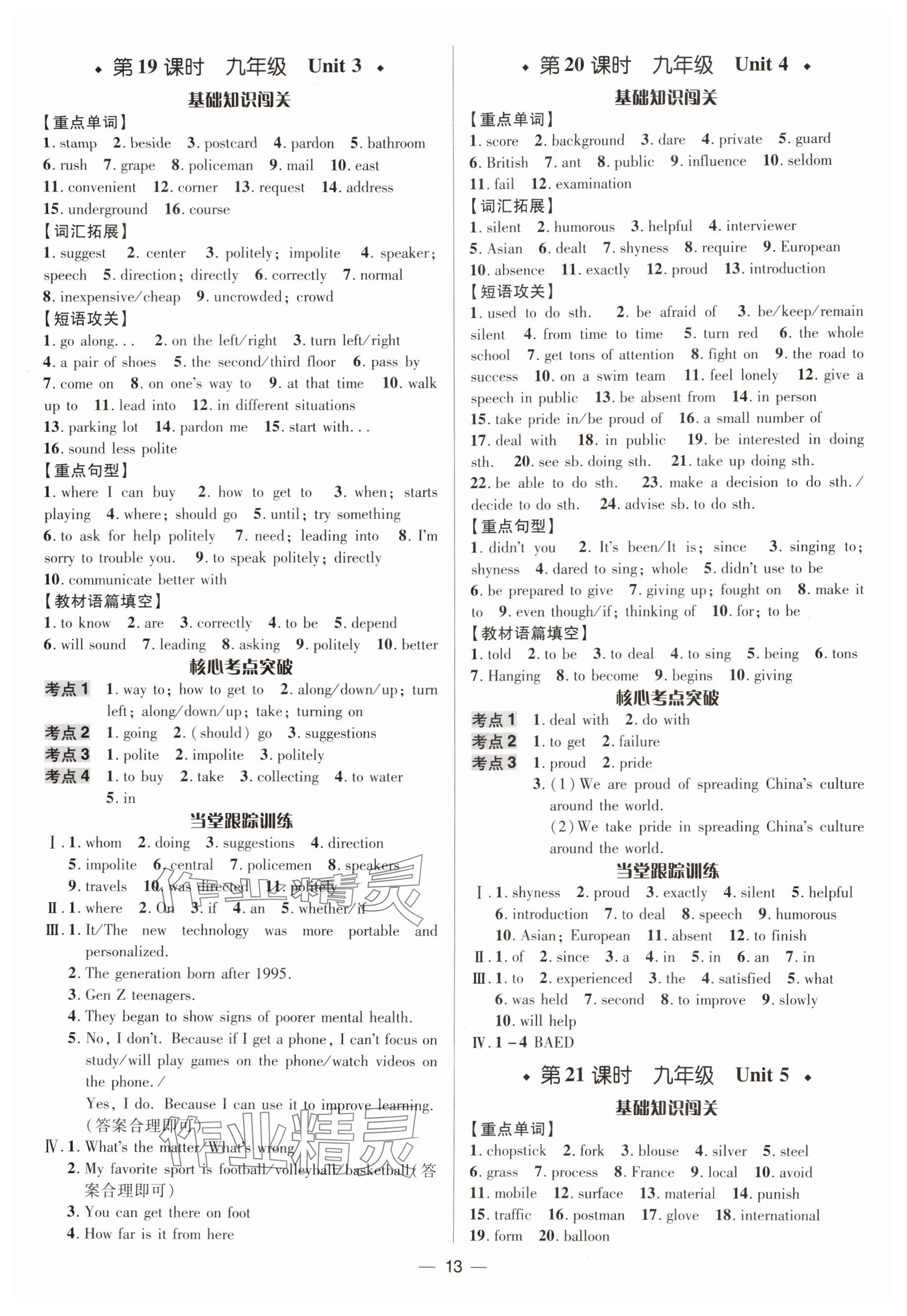 2025年中考對策英語人教版 參考答案第13頁