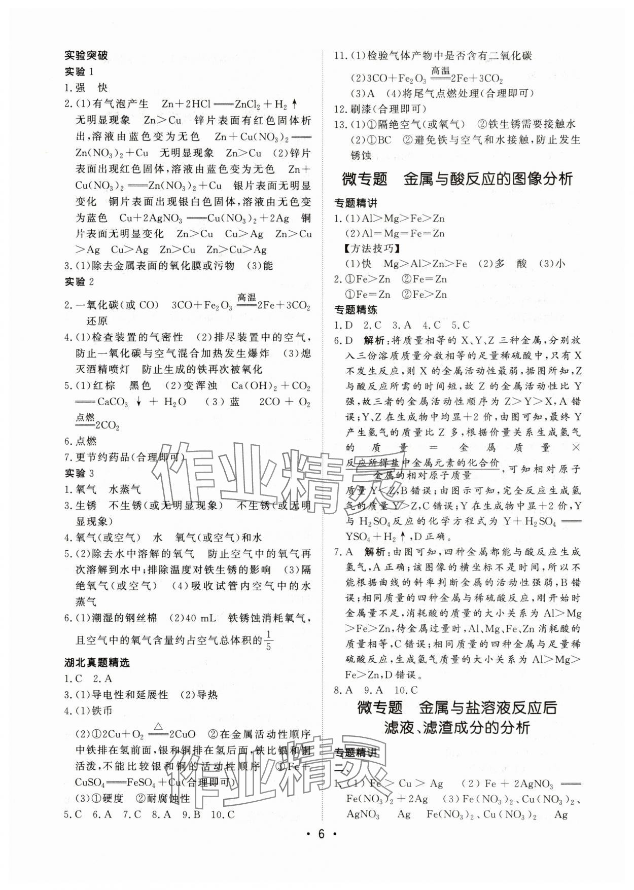2025年湖北新中考備考與指導化學 第6頁