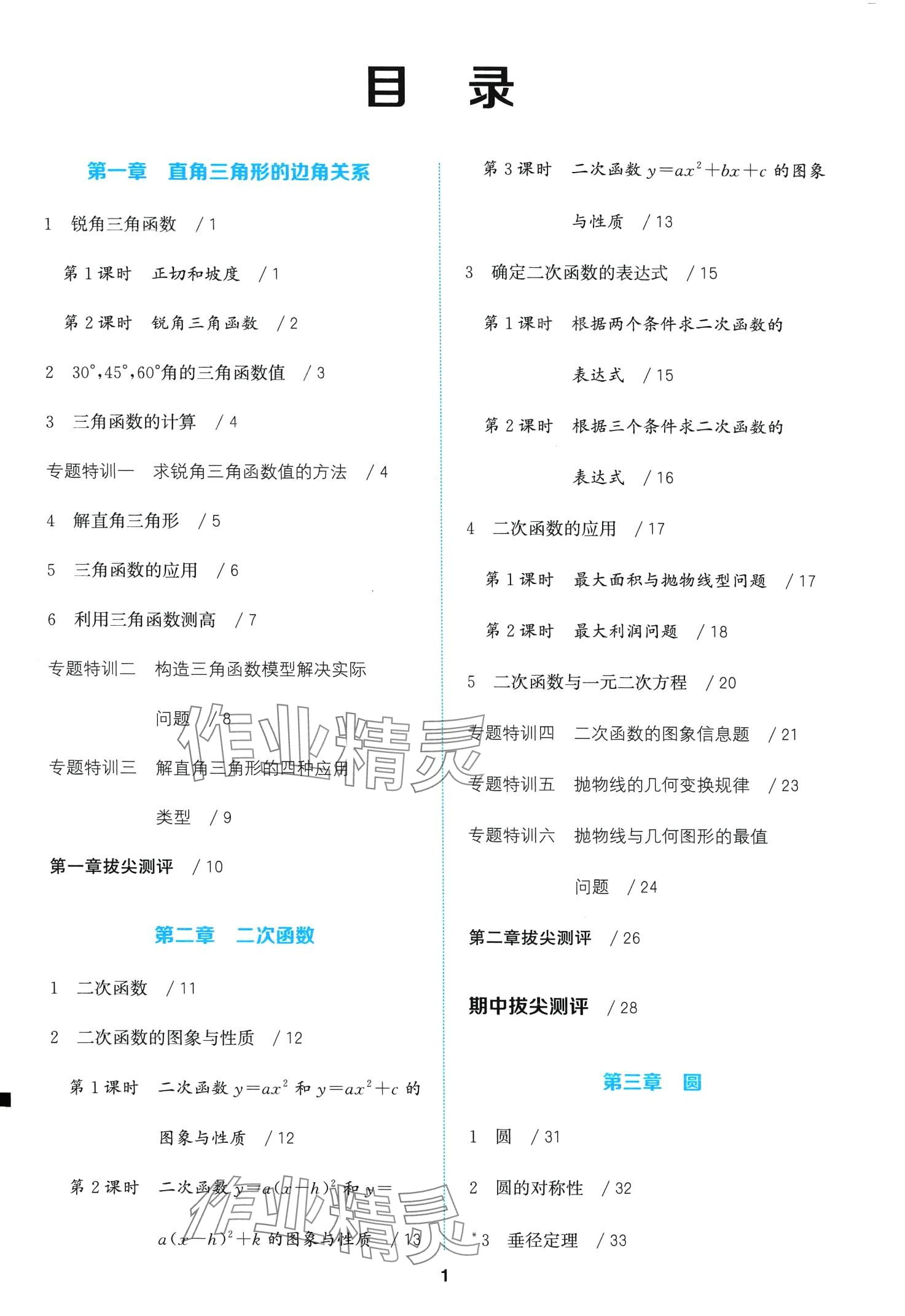 2024年拔尖特训九年级数学下册北师大版 第1页