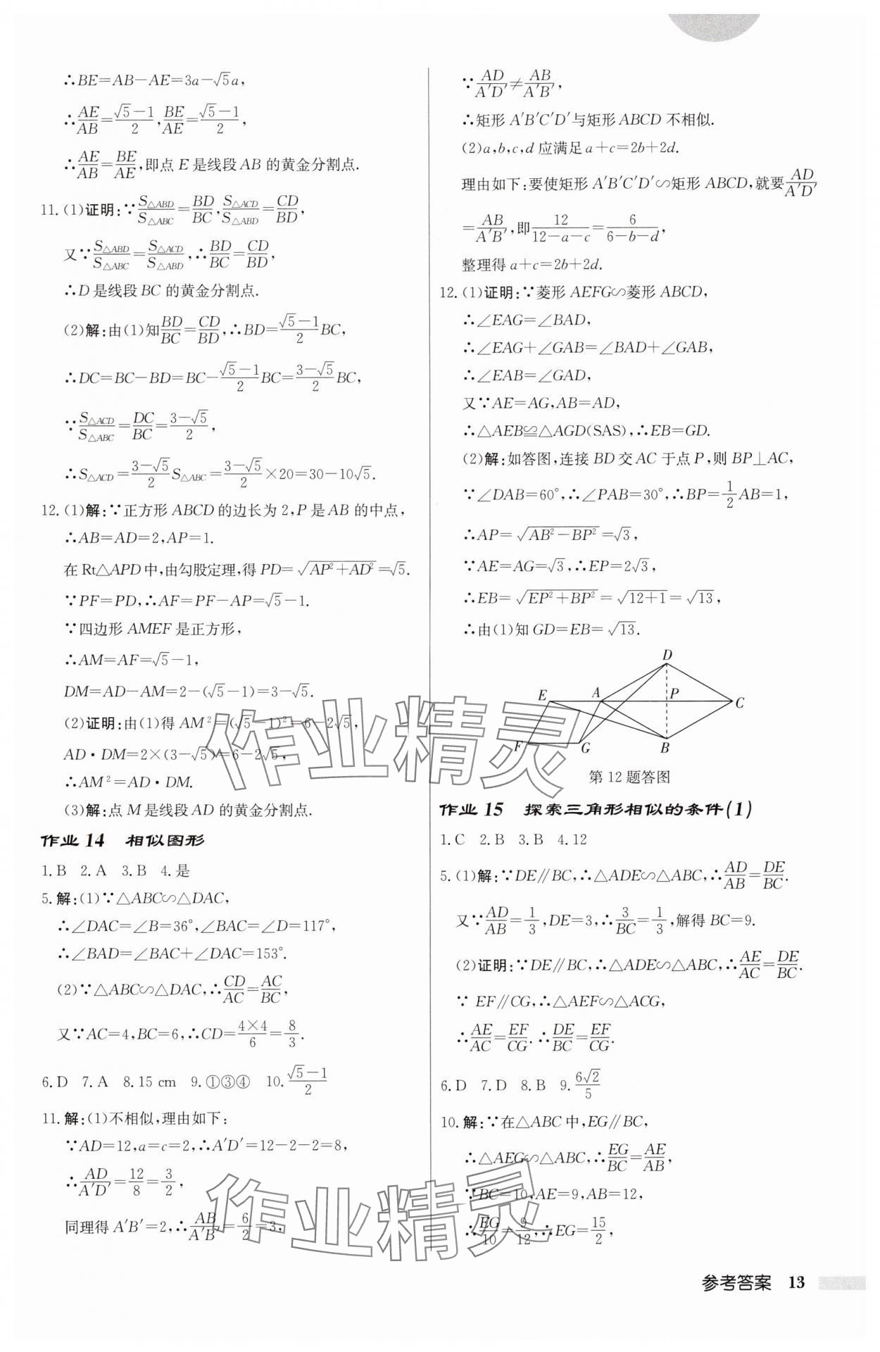 2025年启东中学作业本九年级数学下册苏科版宿迁专版 第13页