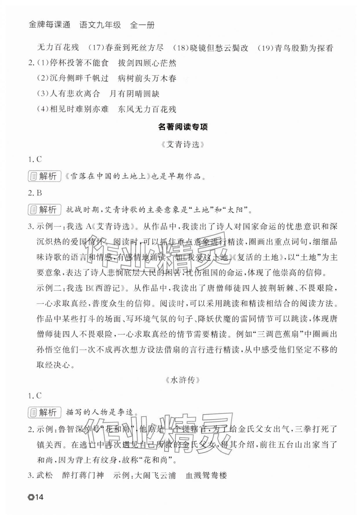 2025年點(diǎn)石成金金牌每課通九年級(jí)語(yǔ)文全一冊(cè)人教版遼寧專版 參考答案第14頁(yè)