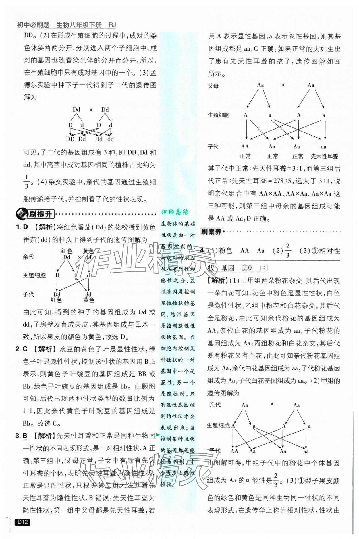 2025年初中必刷題八年級生物下冊人教版 參考答案第12頁