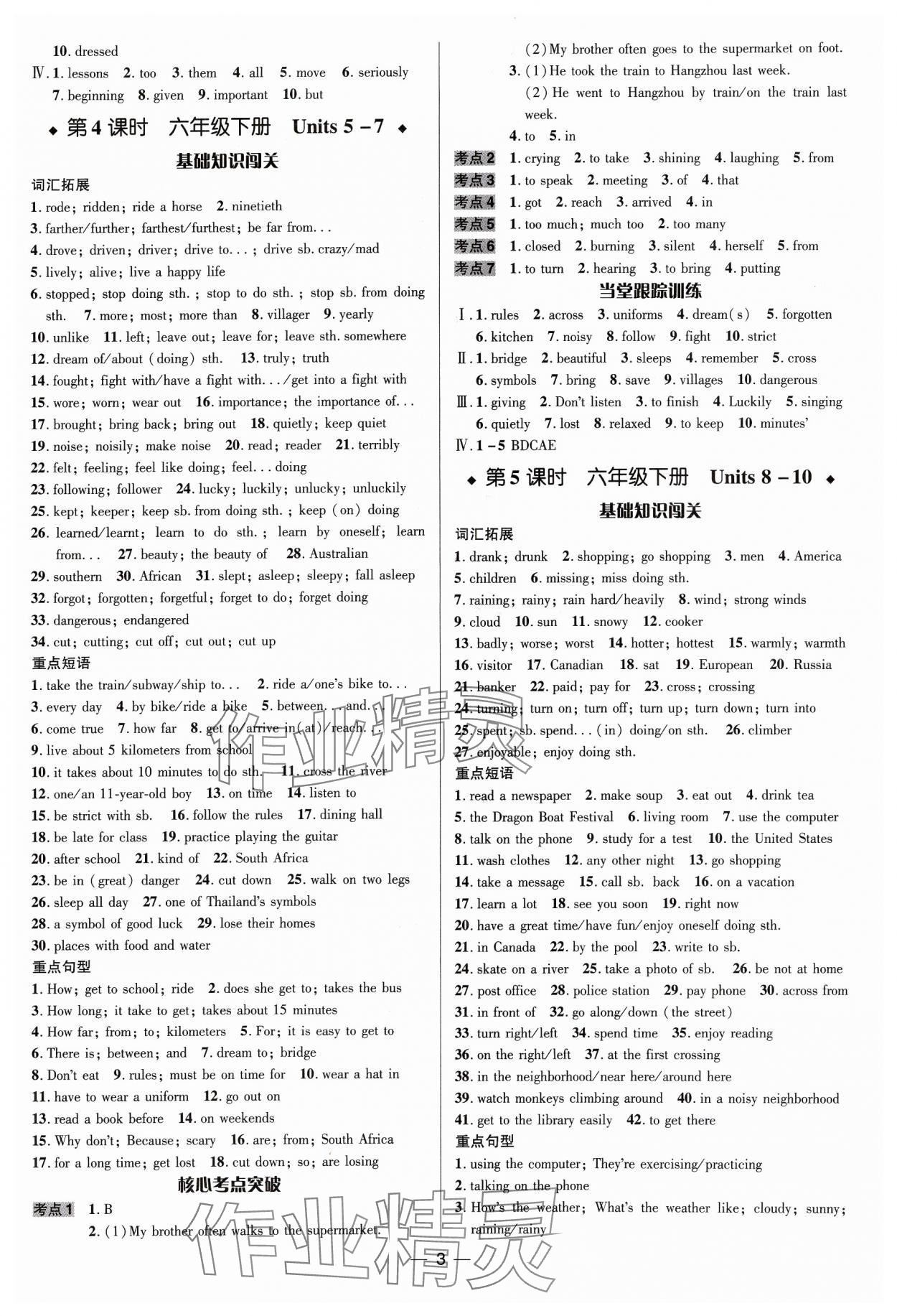2024年中考對(duì)策英語(yǔ)魯教版泰安專(zhuān)版 參考答案第3頁(yè)