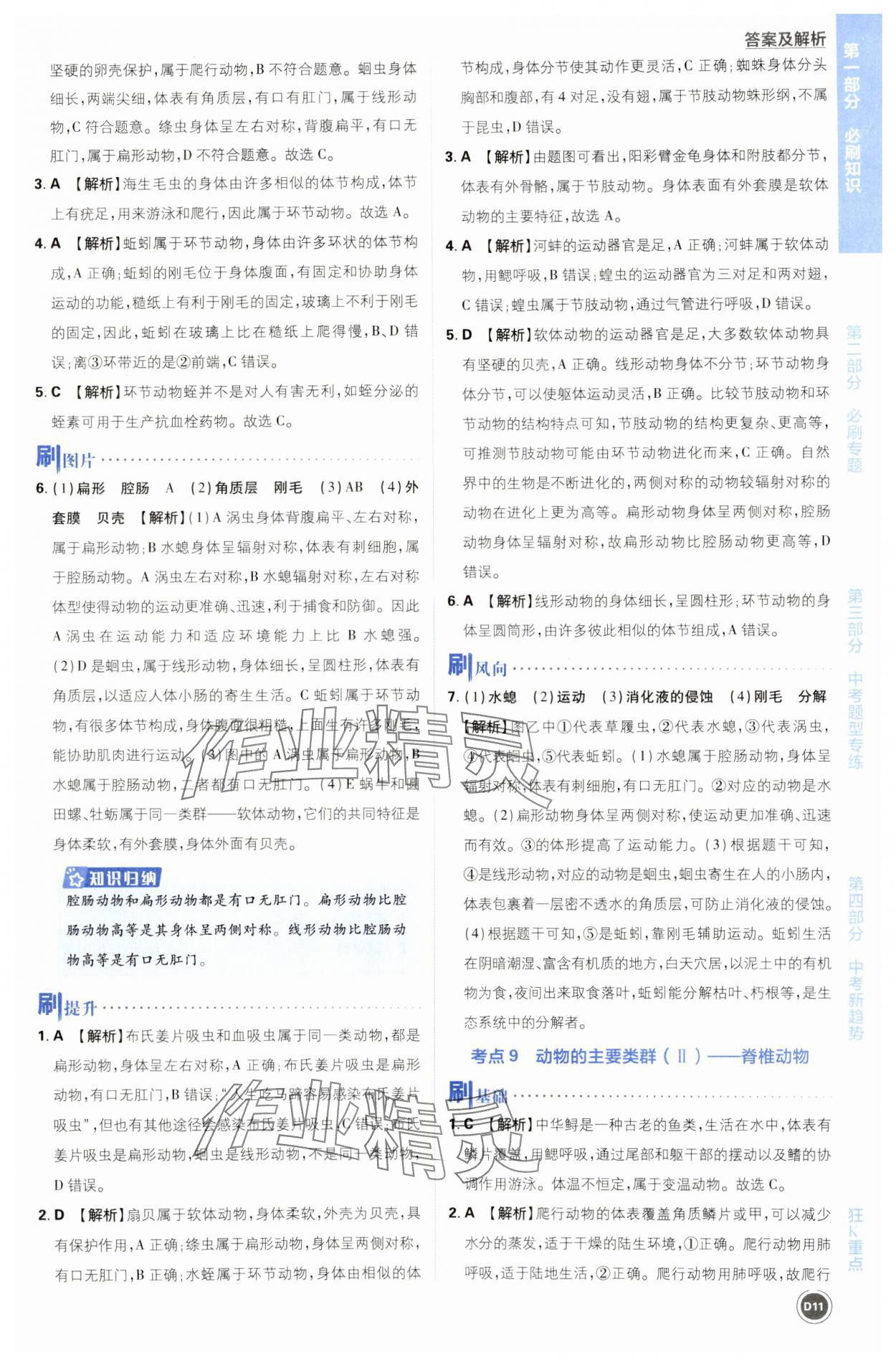 2024年中考必刷题开明出版社生物&nbsp;第11页