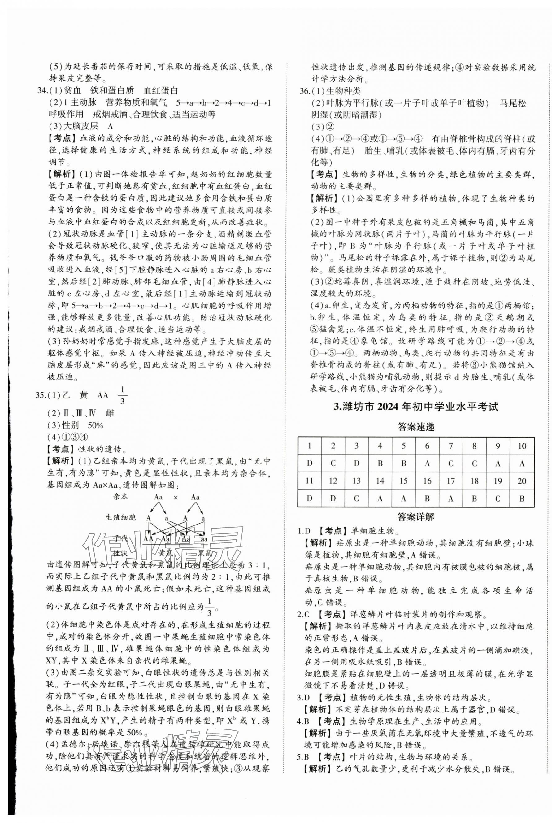 2025年星躍龍門中考真題匯編卷生物山東專版 第5頁