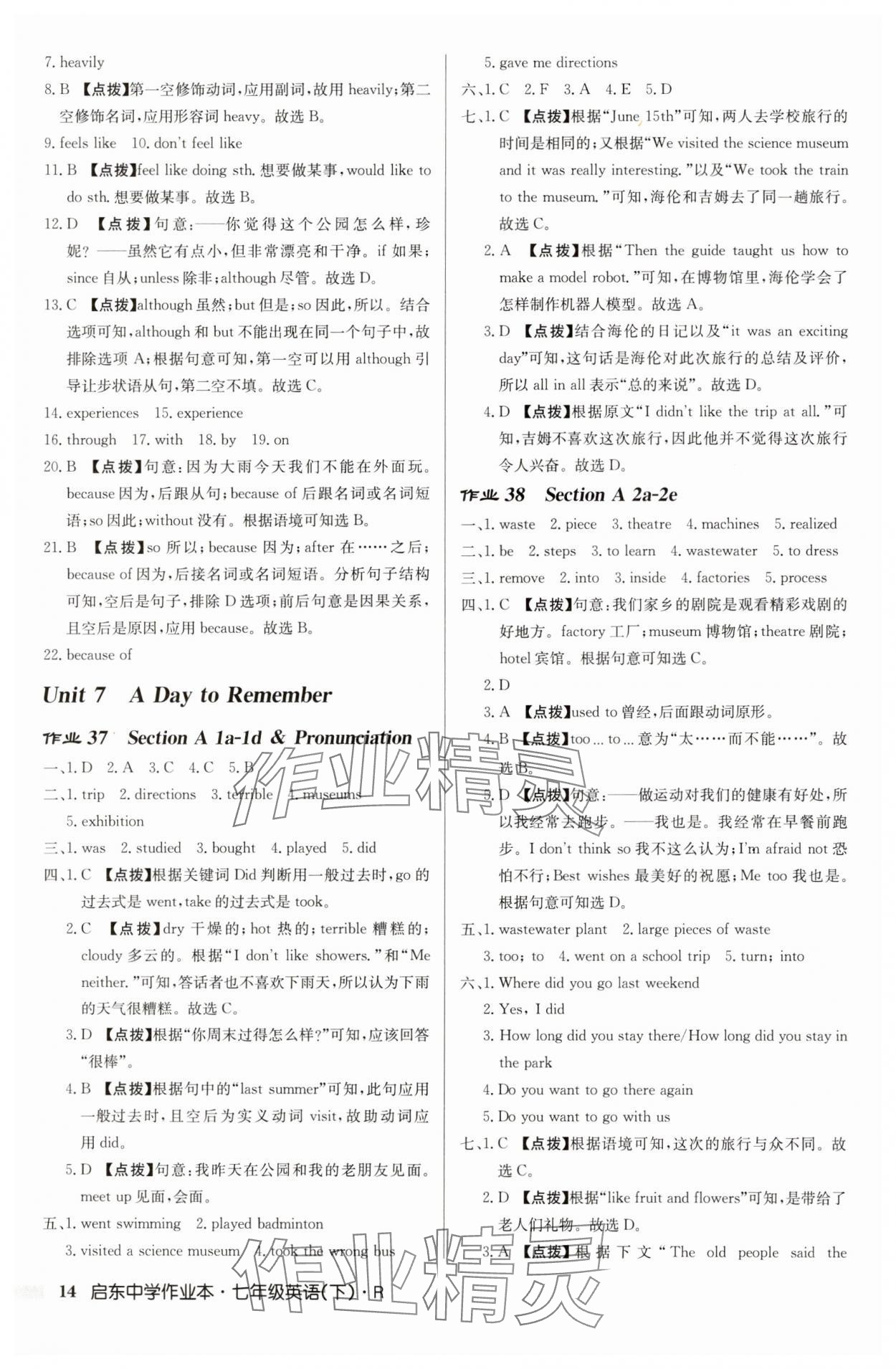 2025年啟東中學作業(yè)本七年級英語下冊人教版 第14頁