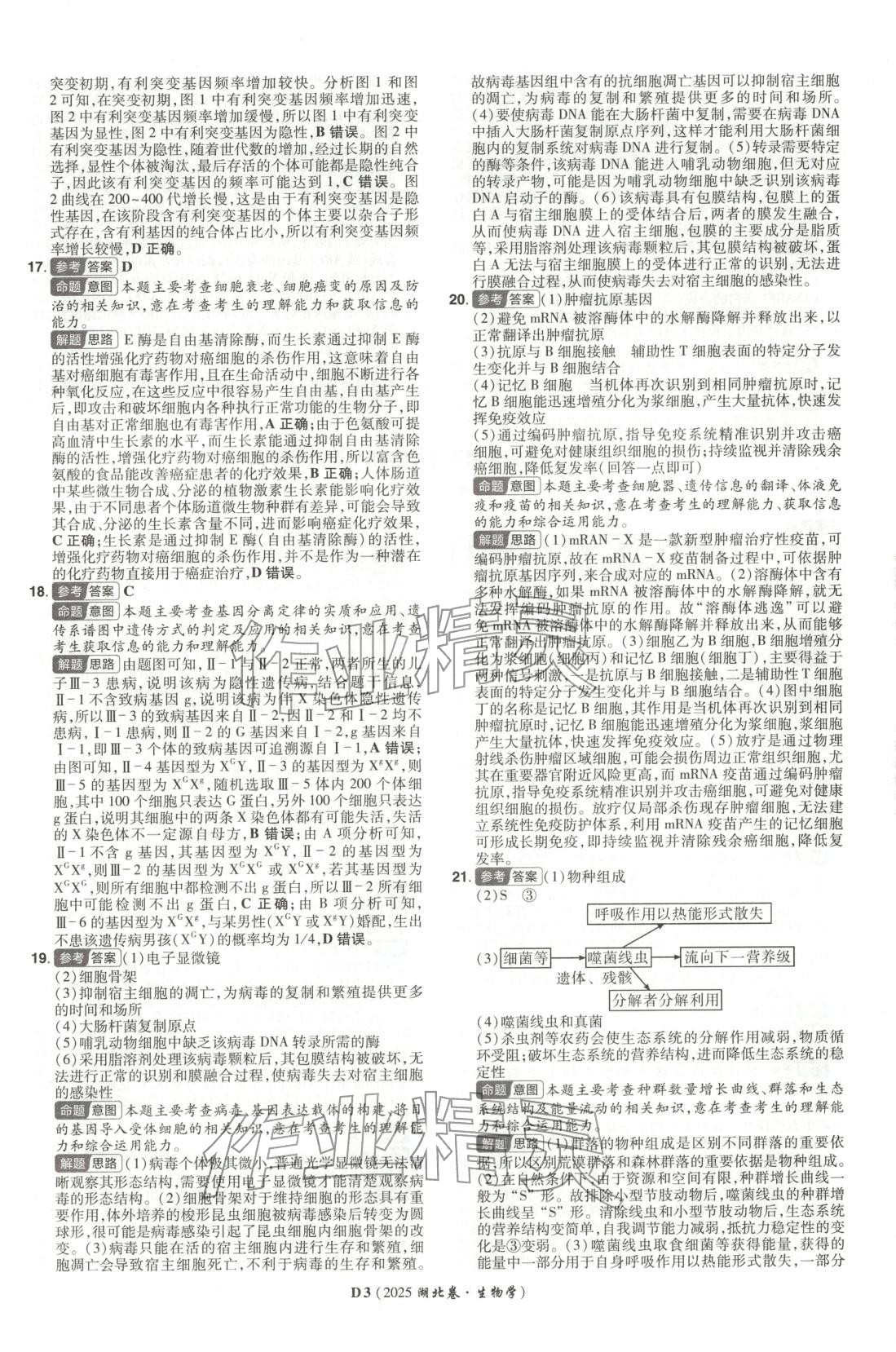 2026年新高考5年真題生物湖北專版&nbsp;第3頁(yè)