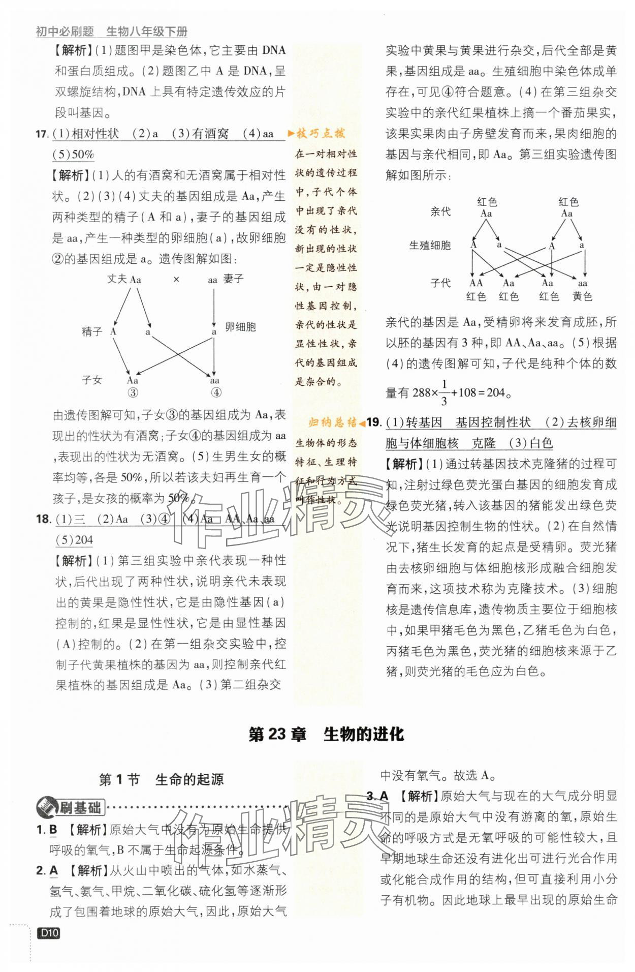 2024年初中必刷题八年级生物下册苏教版 第10页