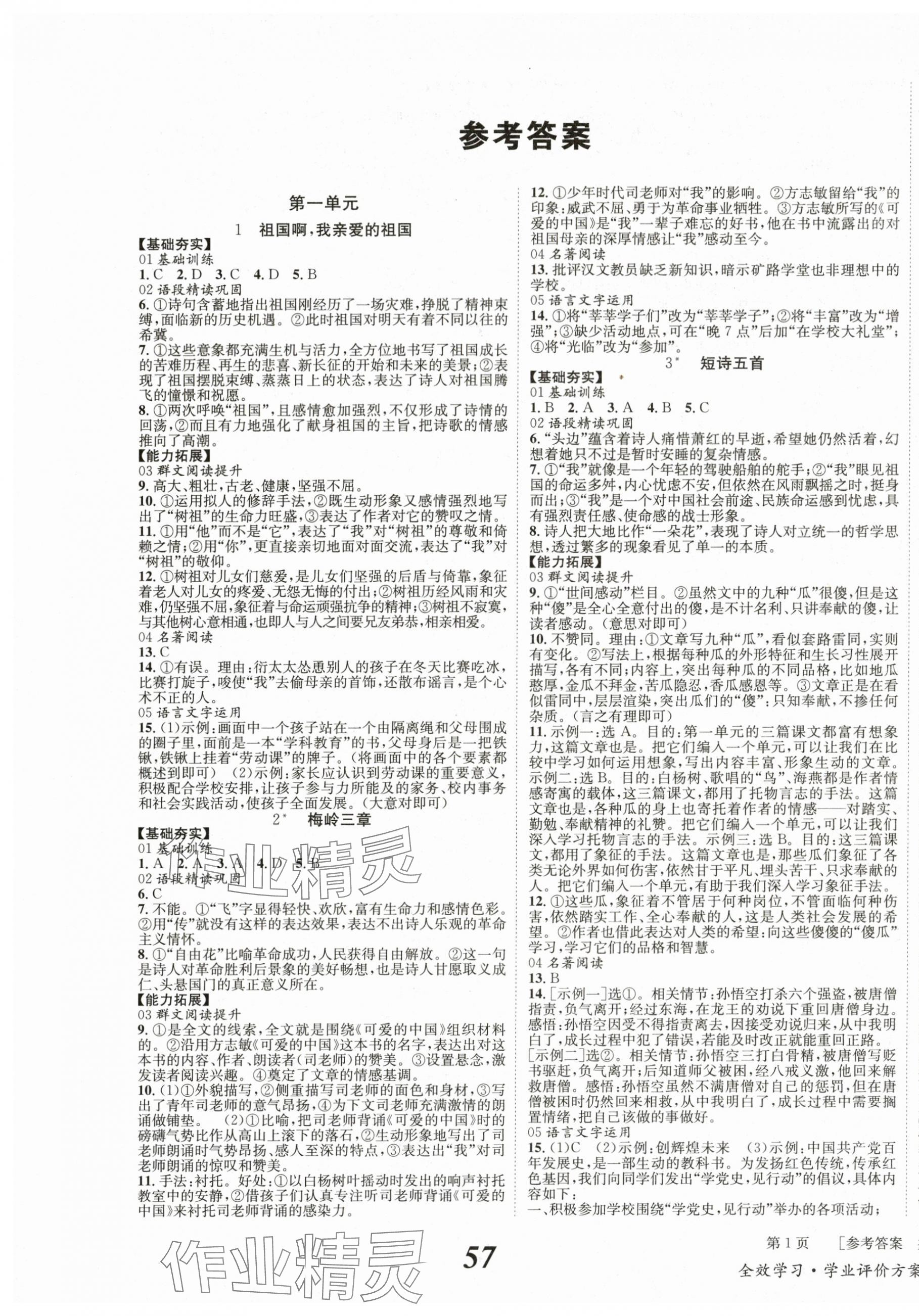 2024年全效學(xué)習(xí)學(xué)業(yè)評(píng)價(jià)方案九年級(jí)語(yǔ)文下冊(cè)人教版 第1頁(yè)