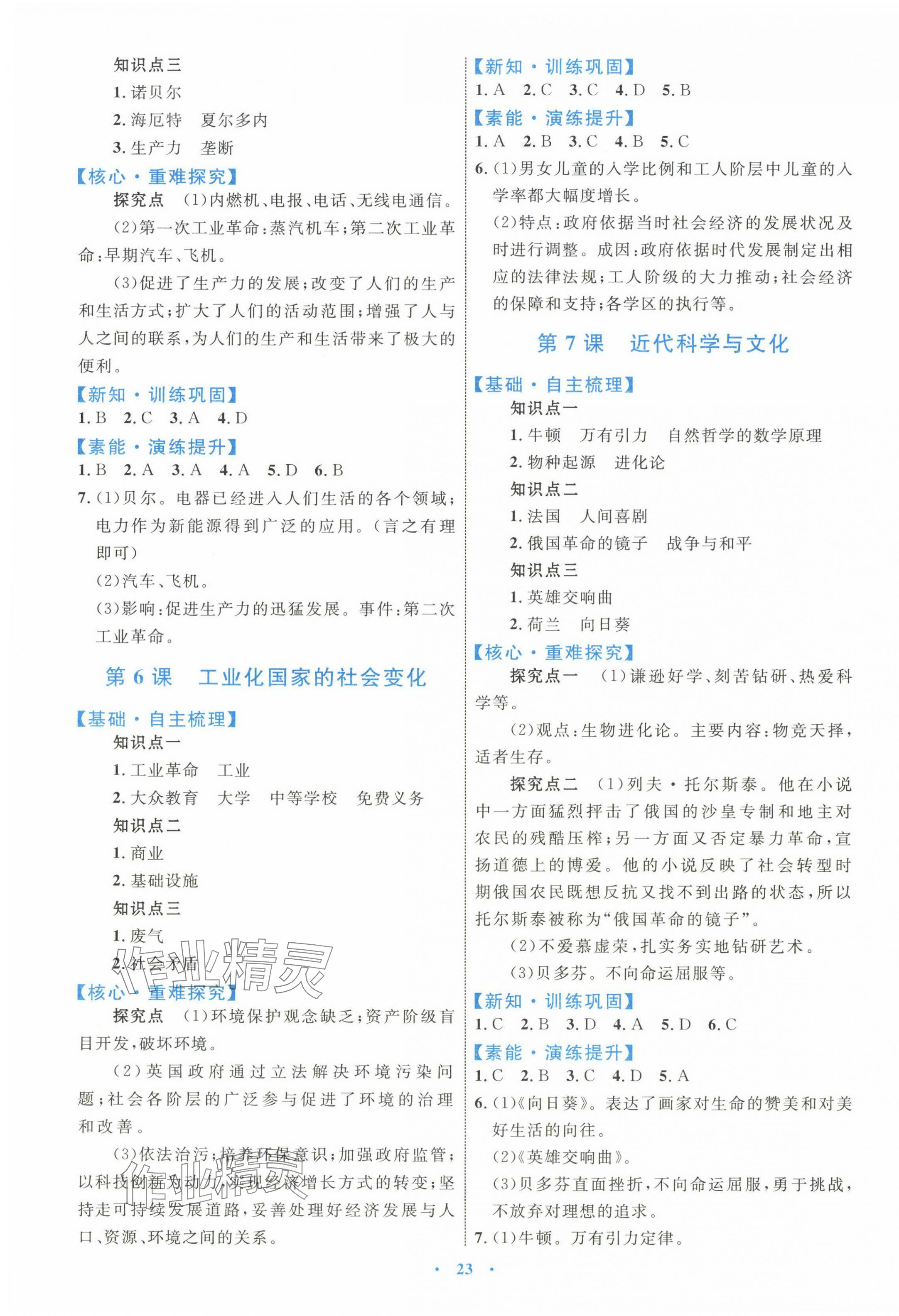 2025年同步學習目標與檢測九年級歷史下冊人教版 第3頁