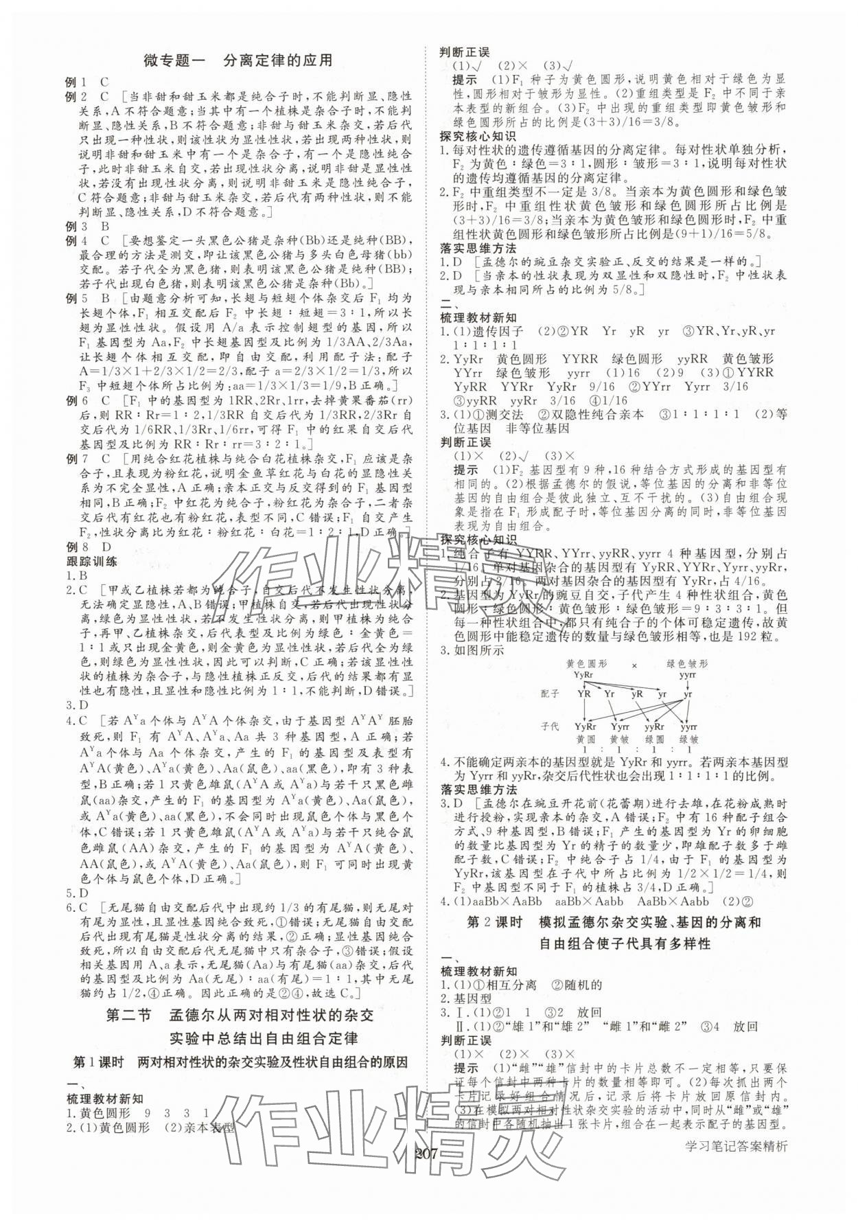 2025年步步高學(xué)習(xí)筆記高中生物必修2浙科版 參考答案第2頁(yè)