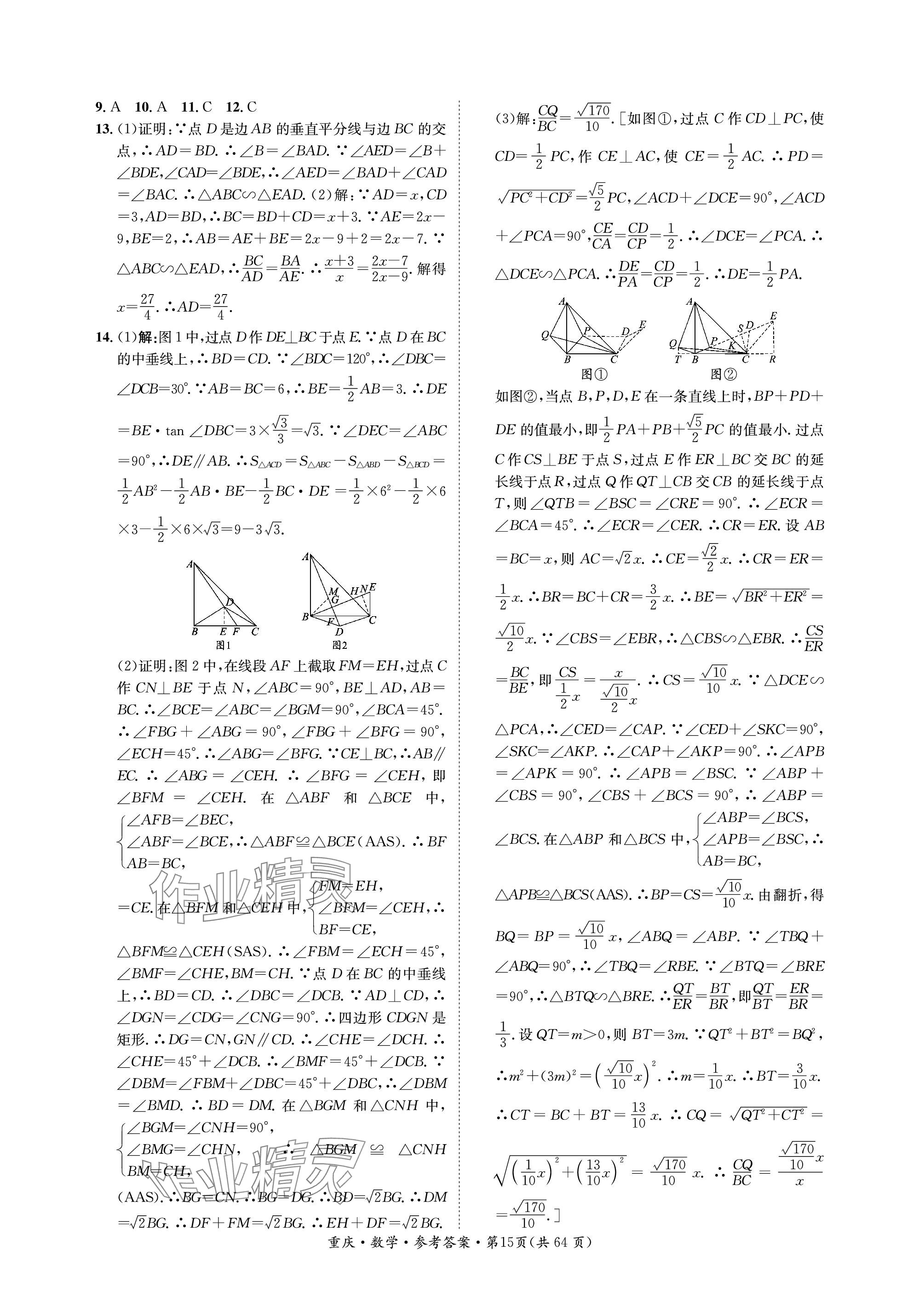 2024年學(xué)本課堂數(shù)學(xué)中考重慶專(zhuān)版 參考答案第15頁(yè)